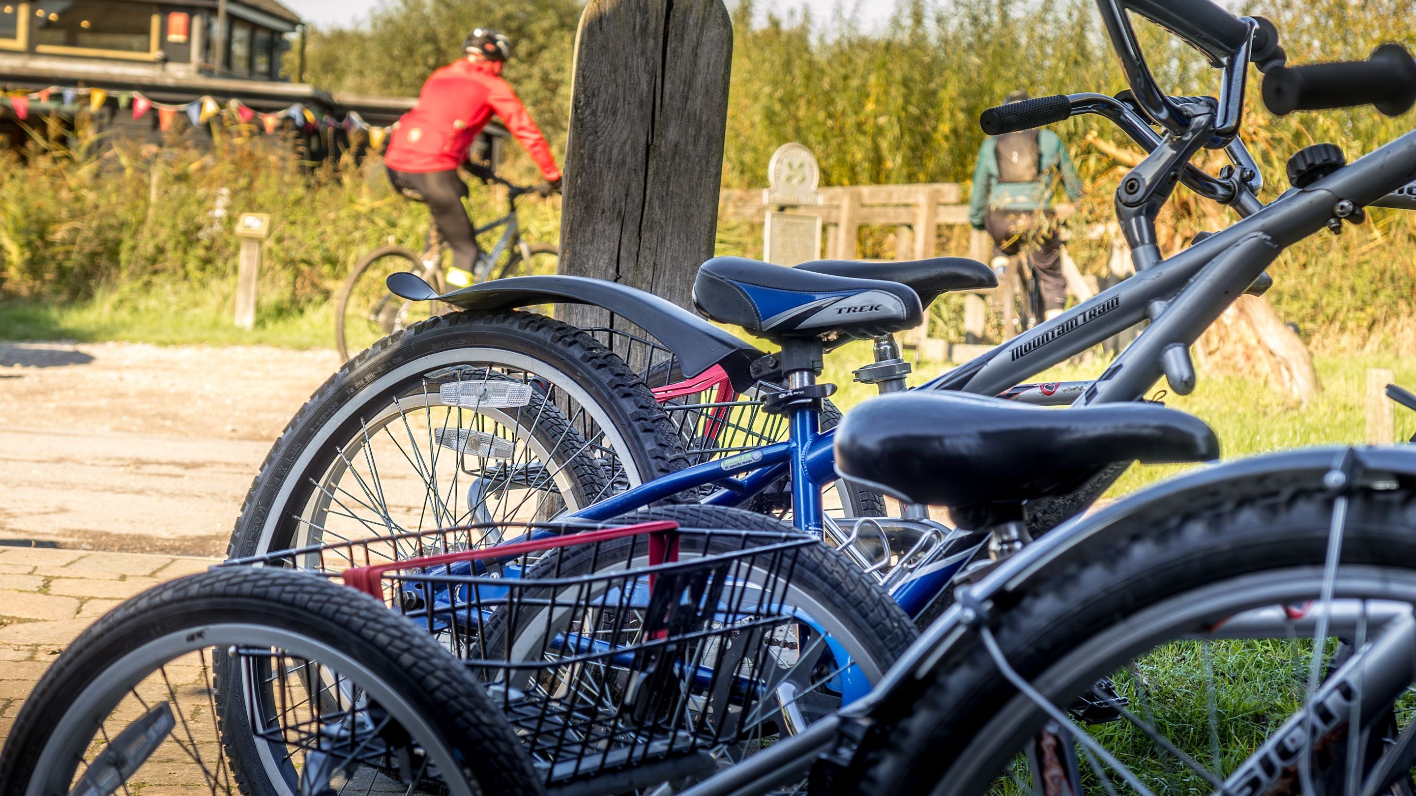 Bikes for hire on the Wicken Fen Nature Reserve, Cambridgeshire