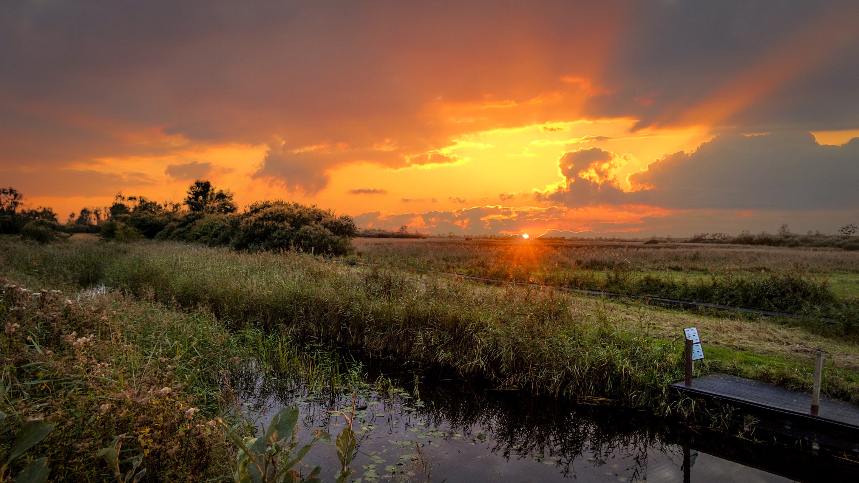 Wicken Fen Nature Reserve at sunset, Cambridgeshire