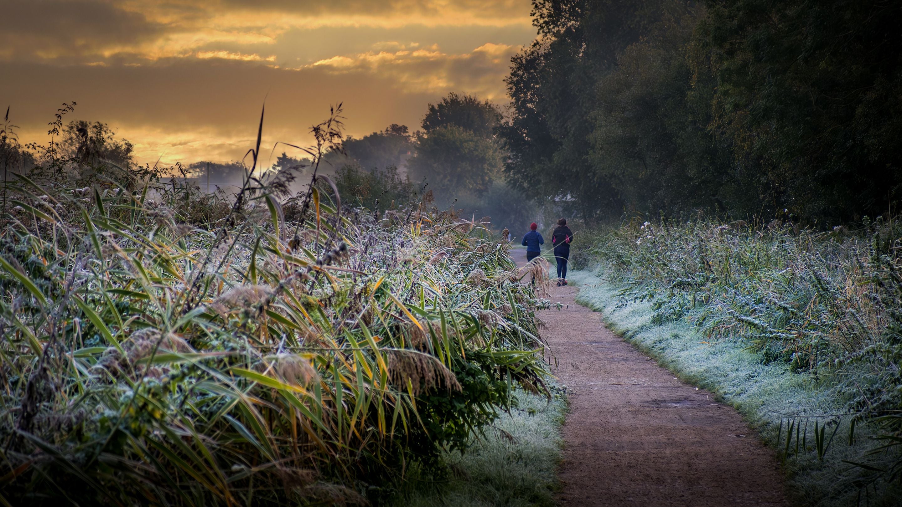 Walkers on a trail at the Wicken Fen Nature Reserve on a frosty morning, Cambridgeshire