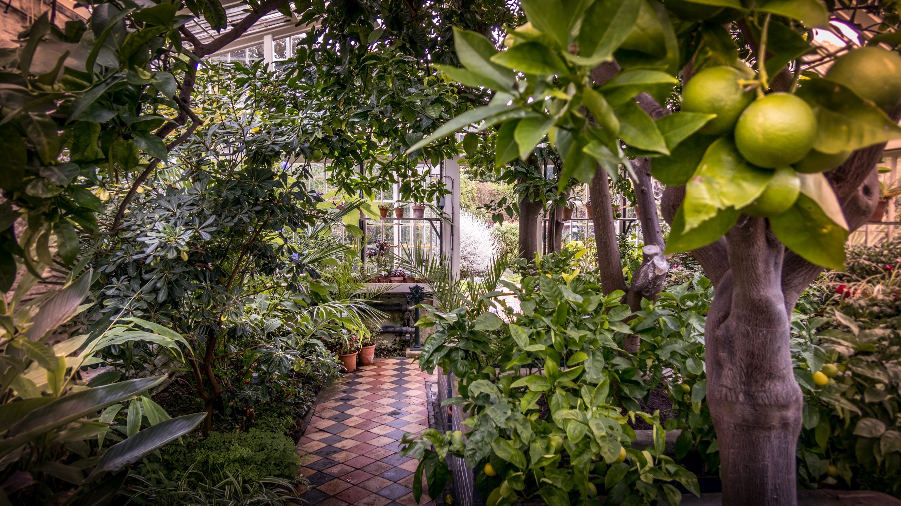 The orangery at Peckover House and Garden, Cambridgeshire