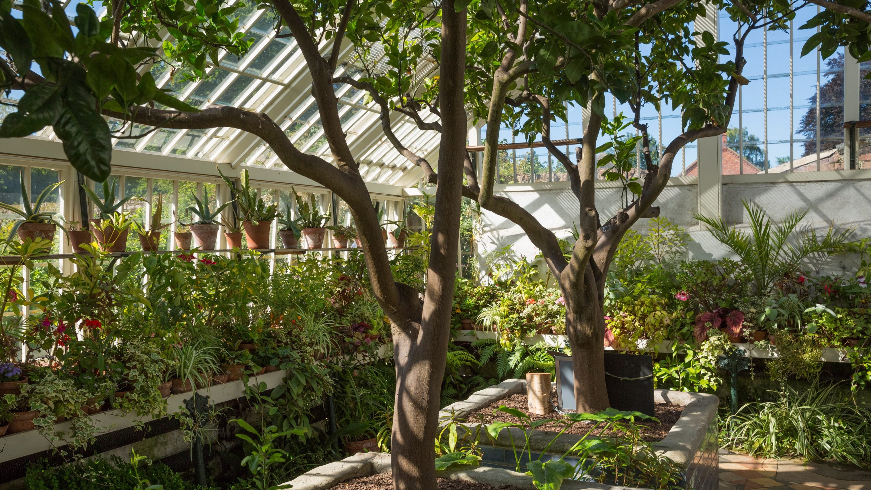 The Orangery at Peckover House and Garden, Cambridgeshire