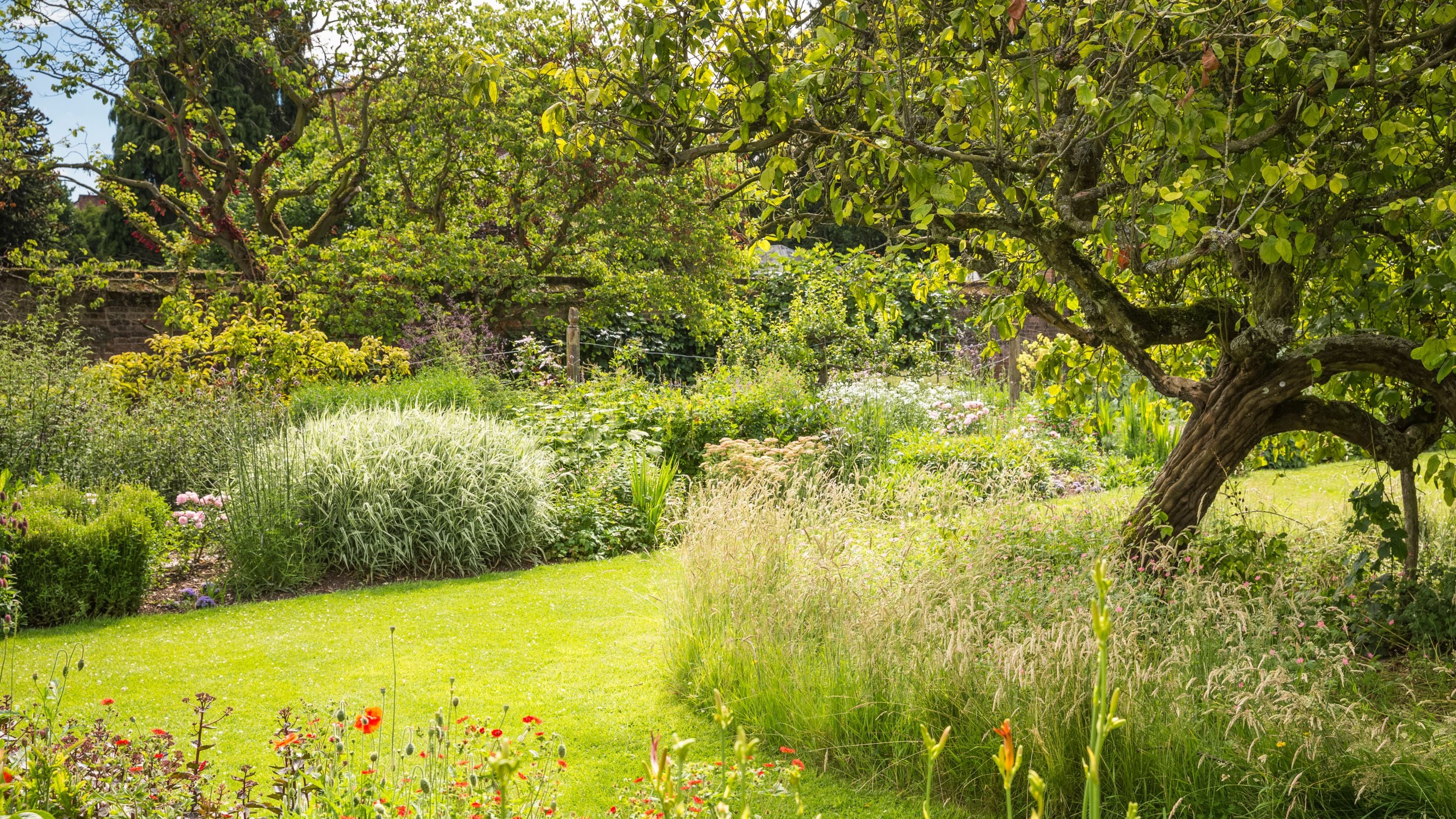 The garden in July at Peckover House and Garden, Cambridgeshire