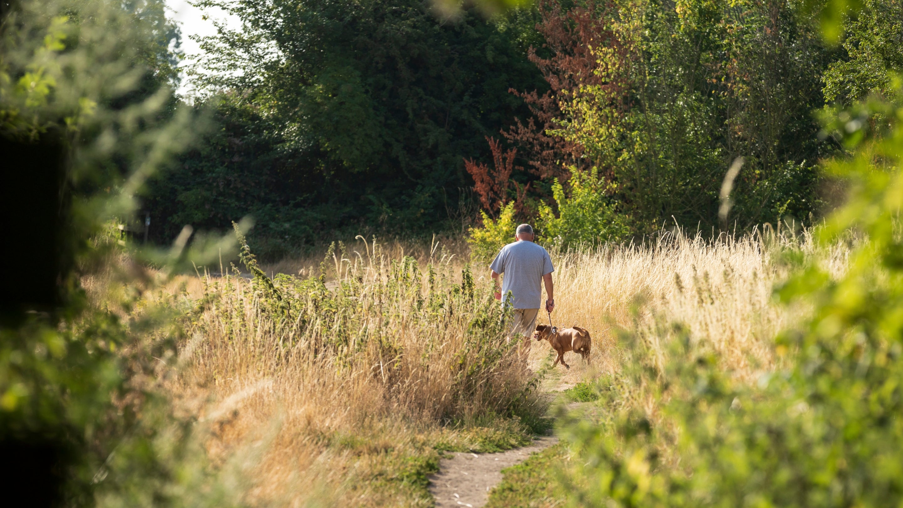 Walking at Waterclose Meadows Campsite, Cambridgeshire