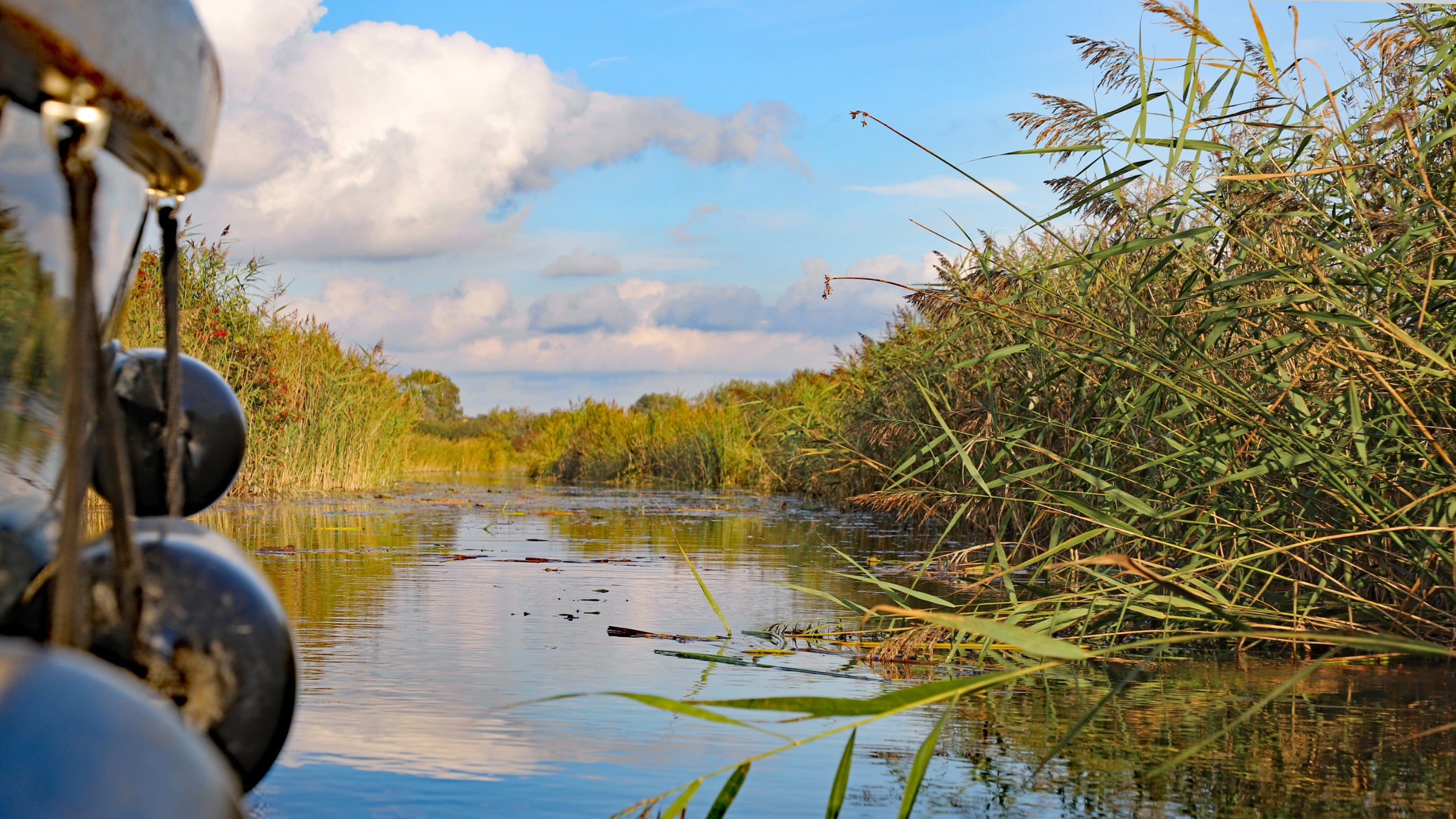 Wicken Fen Nature Reserve, Cambridgeshire