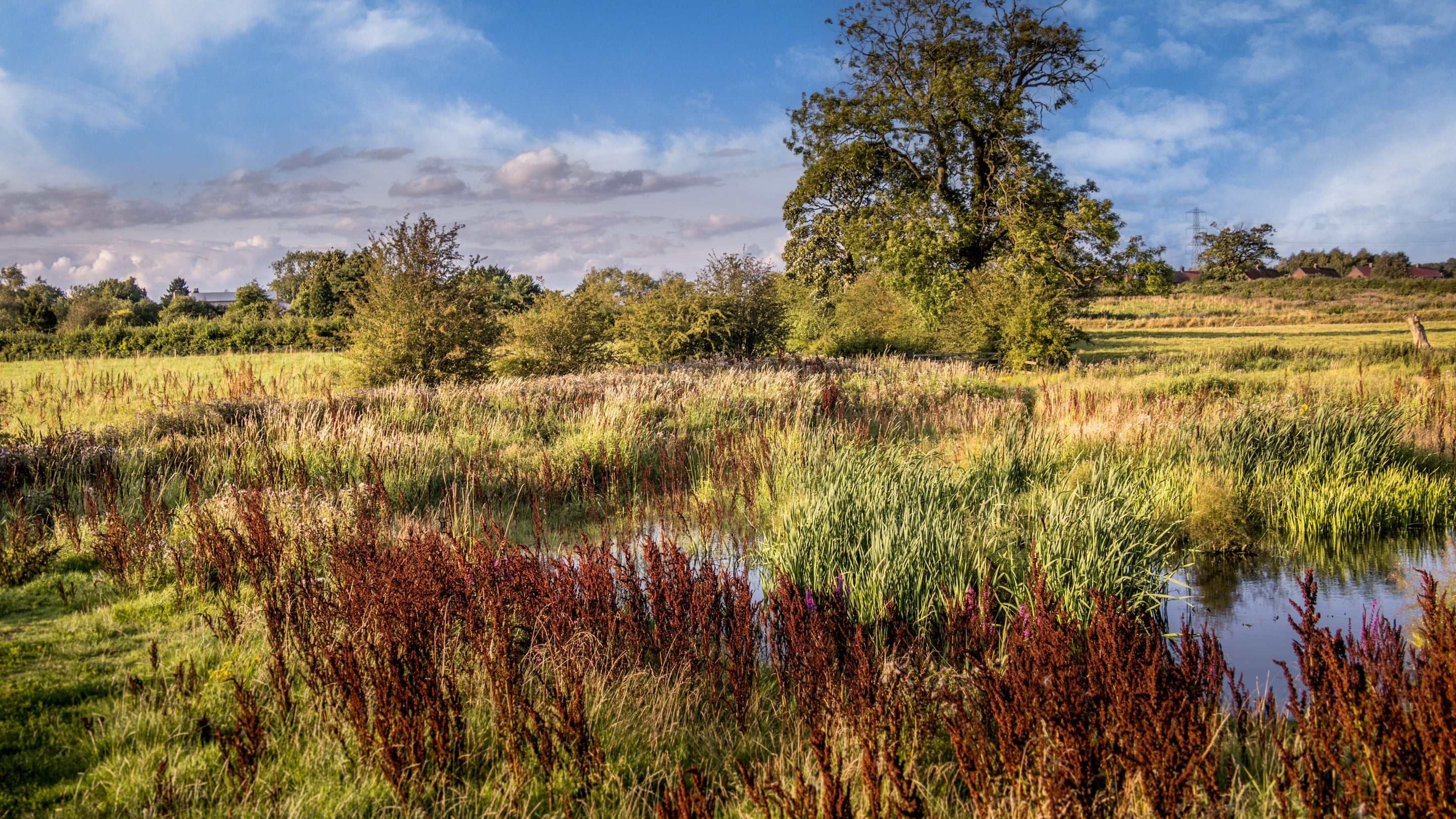 The area surrounding Village Farmhouse, Cheshire
