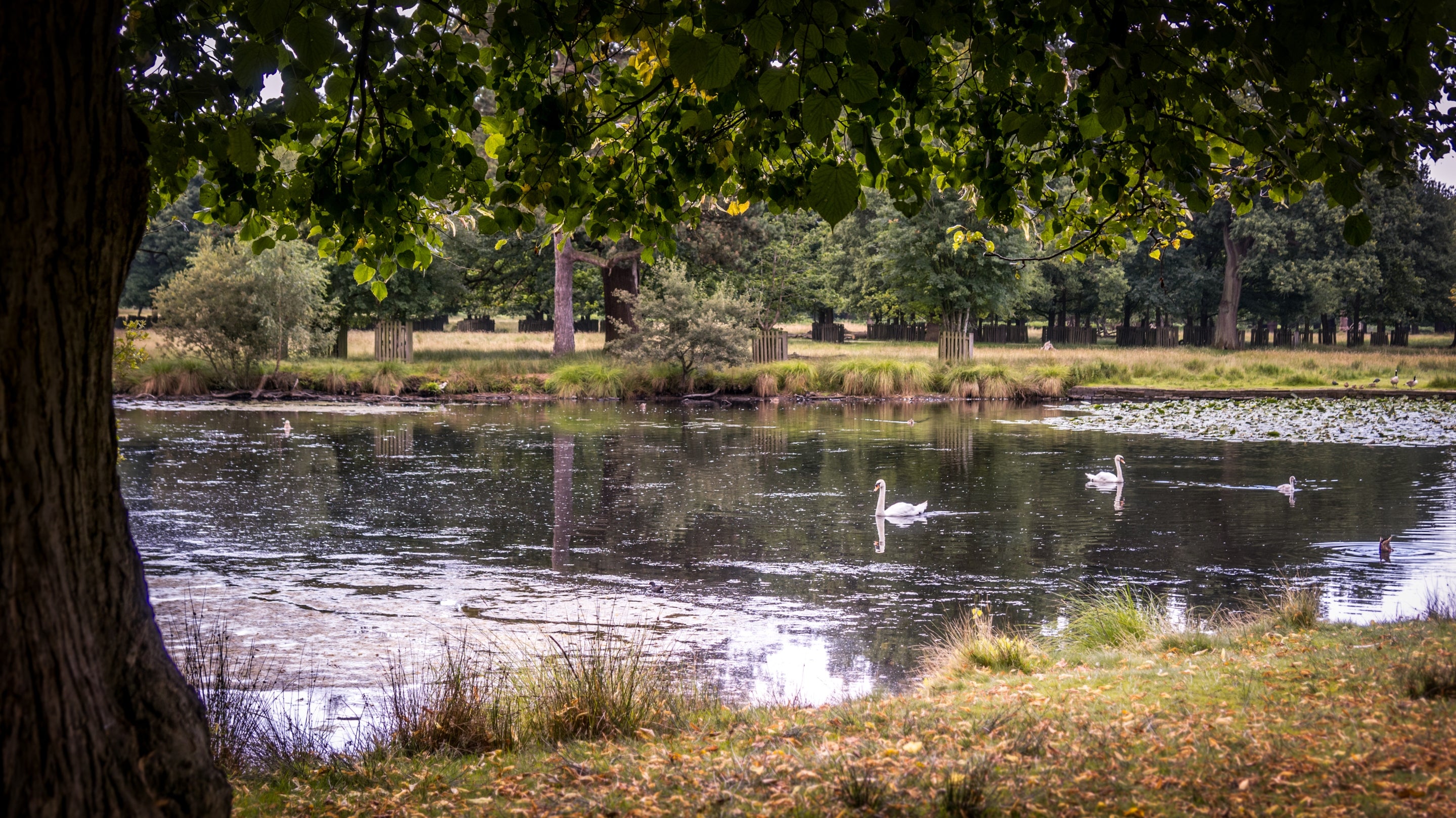 The area surrounding Village Farmhouse, Cheshire