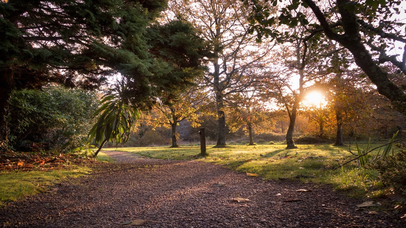 The surrounding area at the Apple Store, Durgan, Cornwall