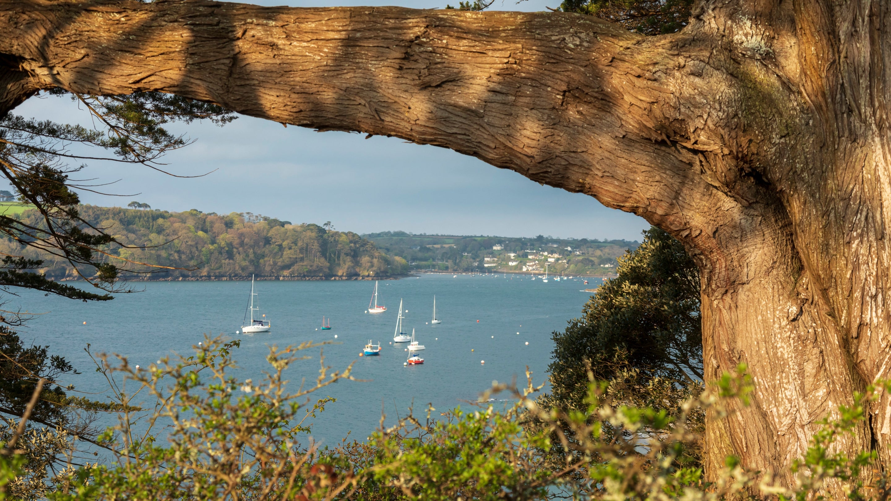 The surrounding area at The Apple Store, Cornwall