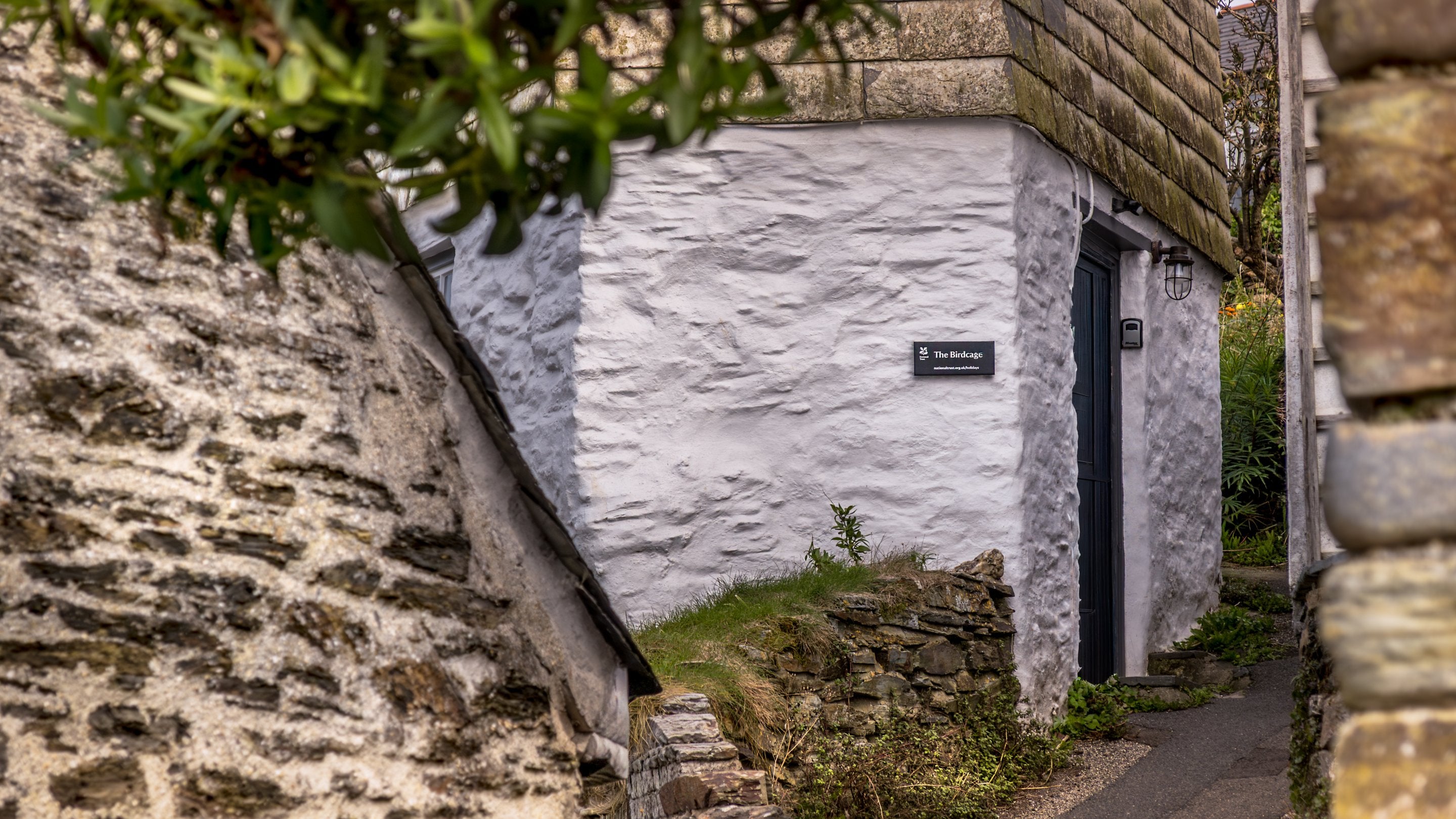The narrow lane to The Birdcage, Cornwall