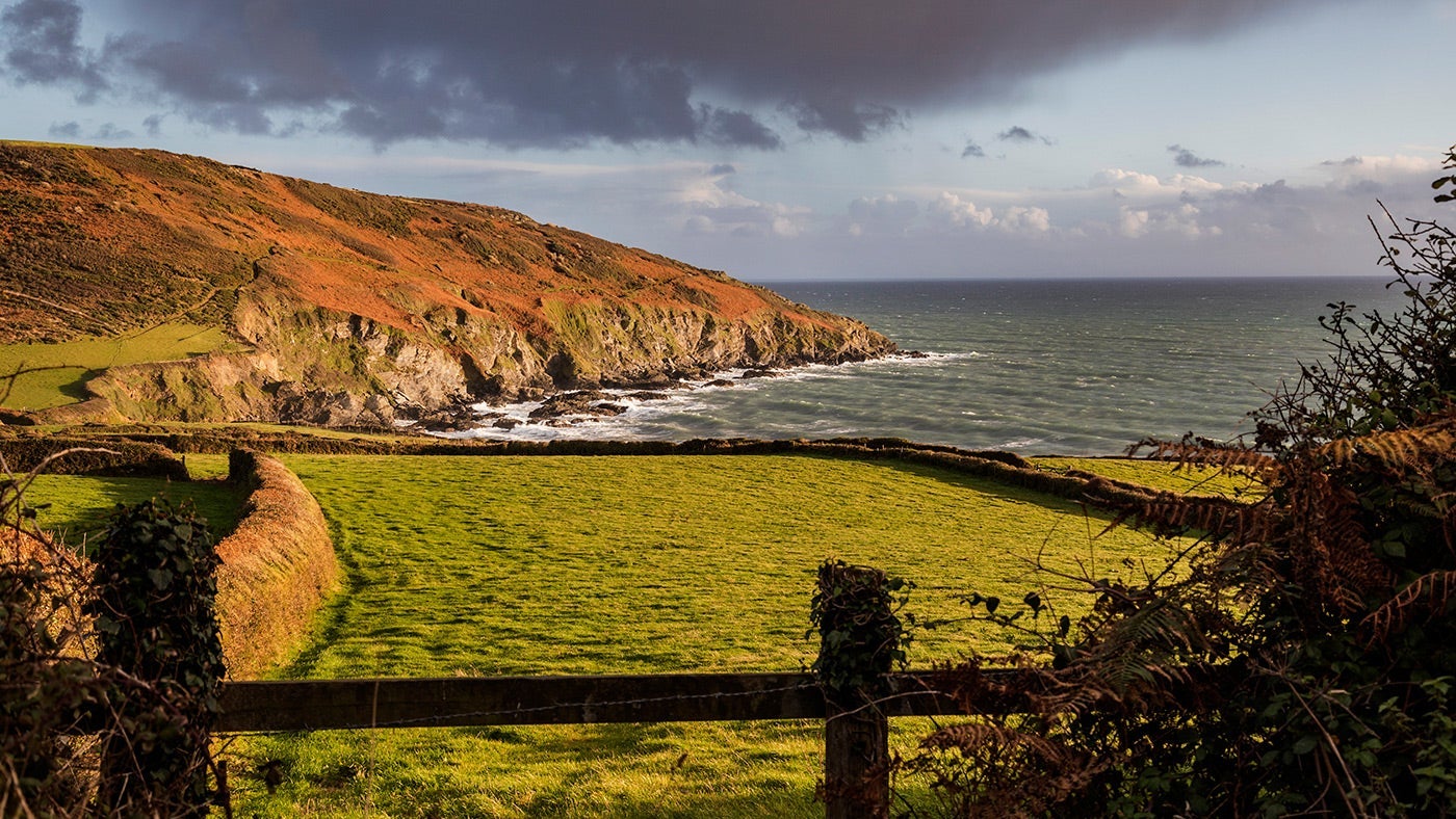 The surrounding area at Bodrugan, Cornwall