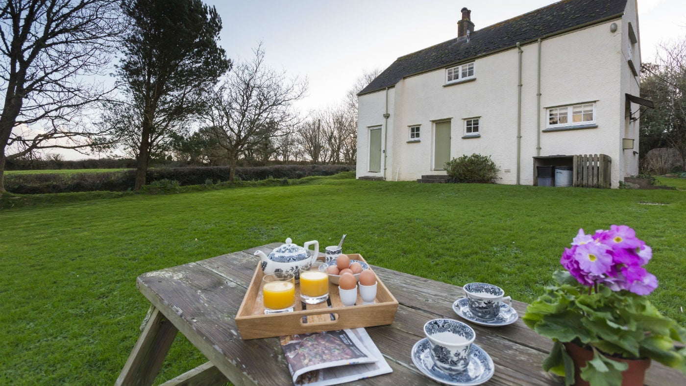 The garden at Bohurrow Farm Cottage, Roseland, Cornwall