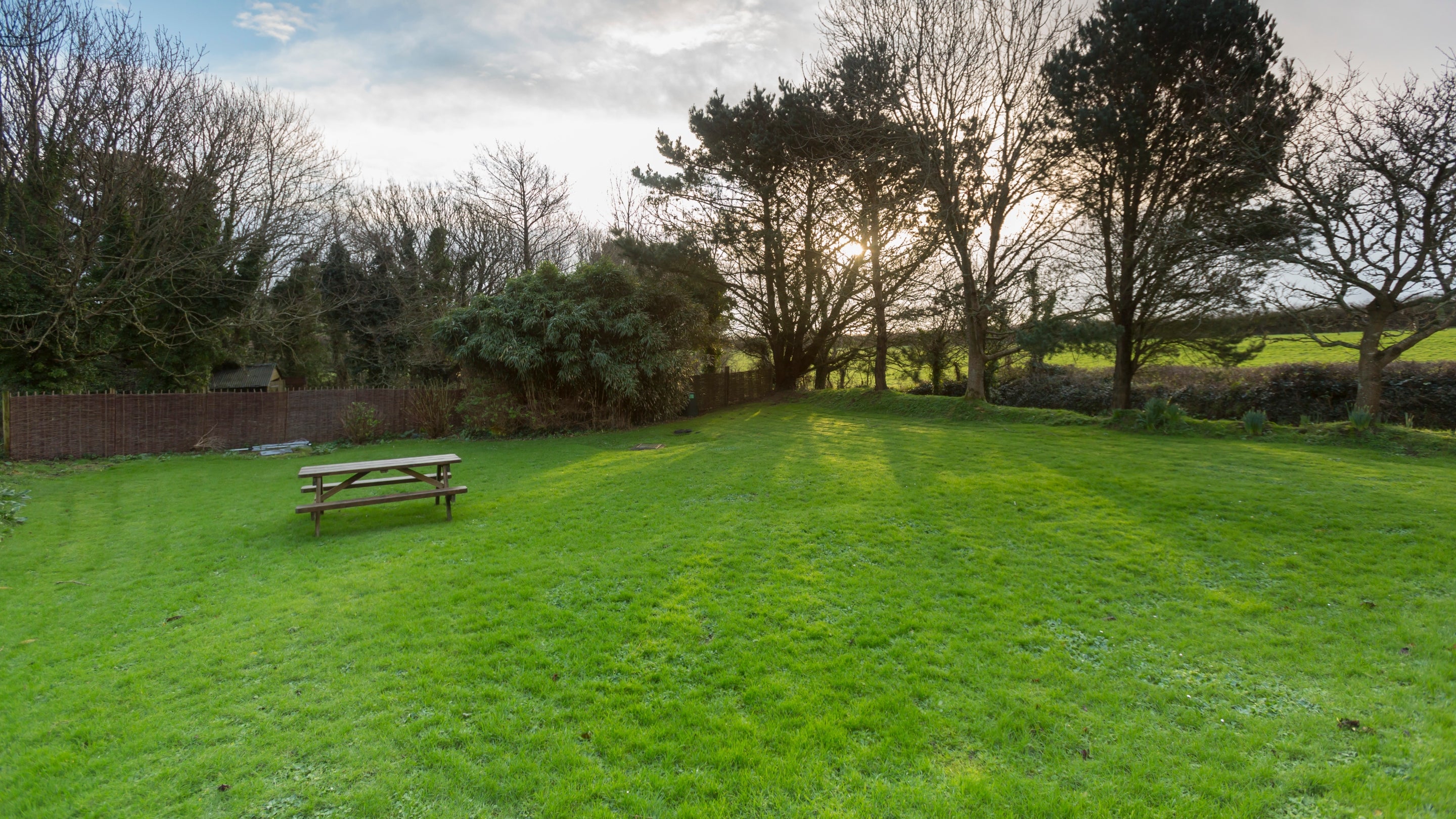 The garden at Bohurrow Farm Cottage, Cornwall
