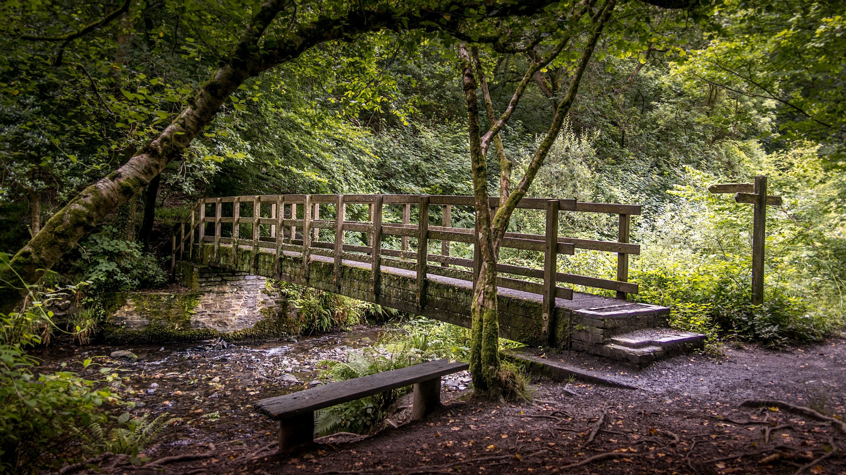 The River Valency by Boscastle Elm Cottage, Cornwall