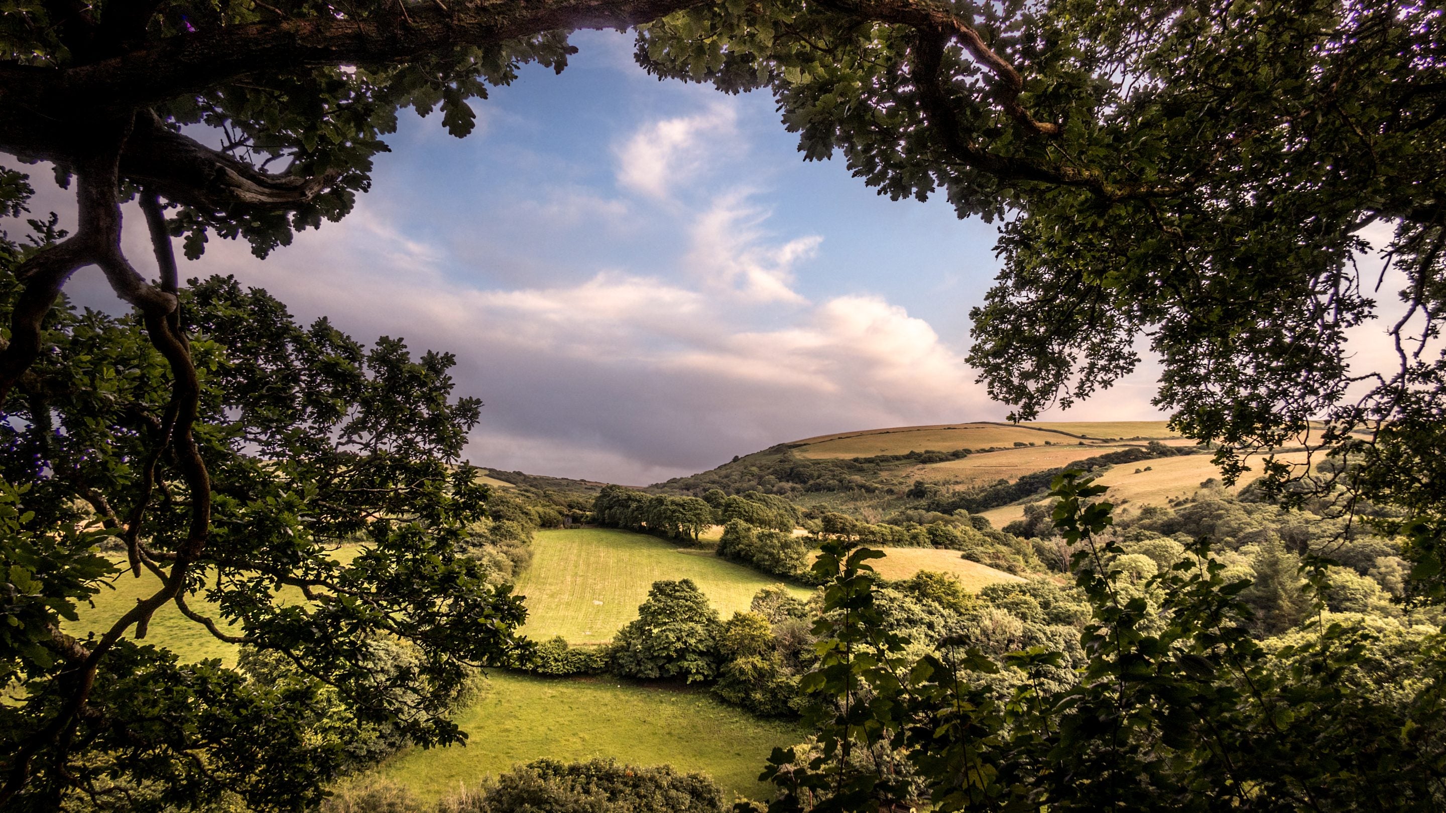 The countryside surrounding Boscastle Elm Cottage, Cornwall