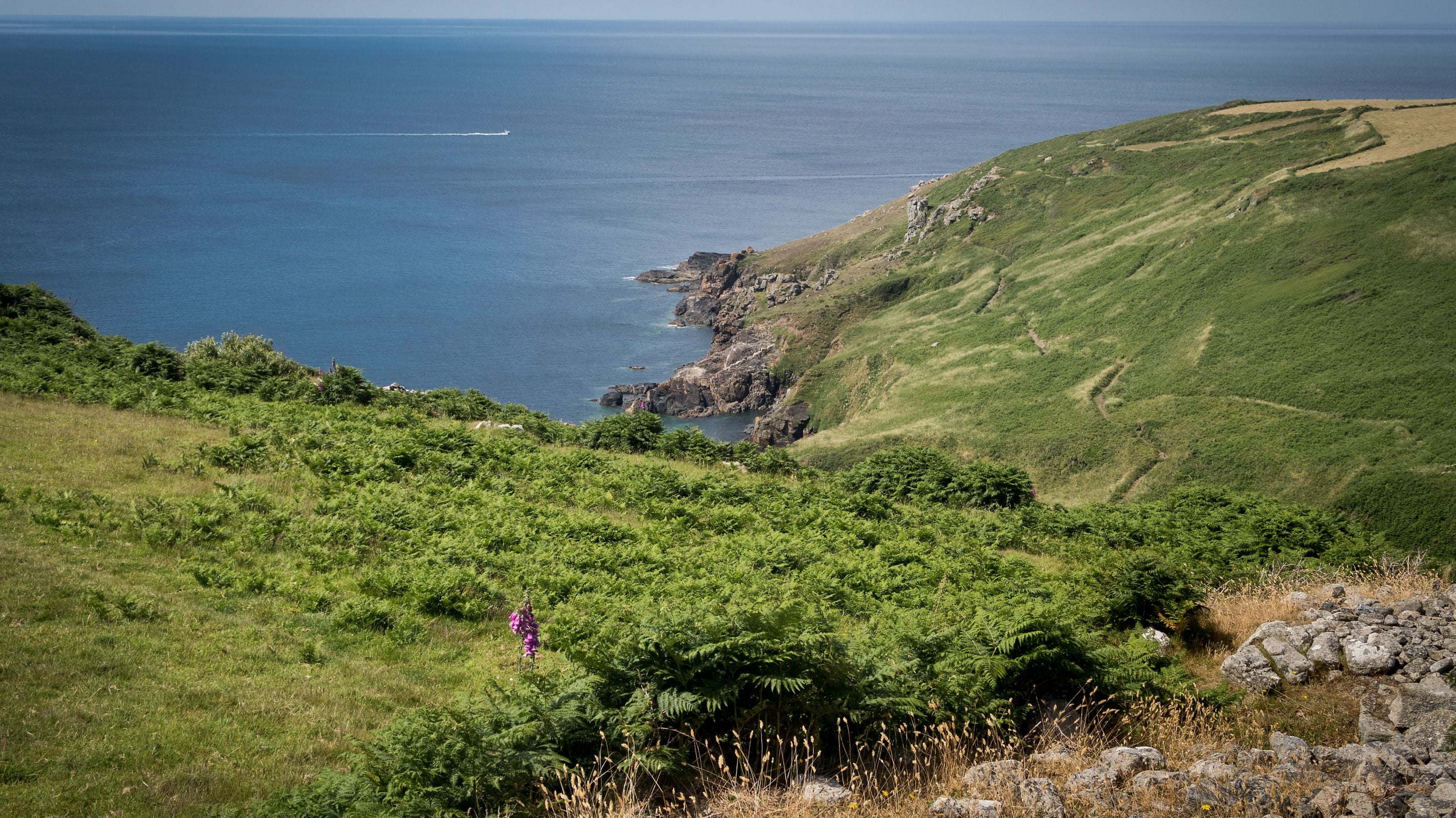 The coastal cliffs near Bosigran Cottage, Cornwall