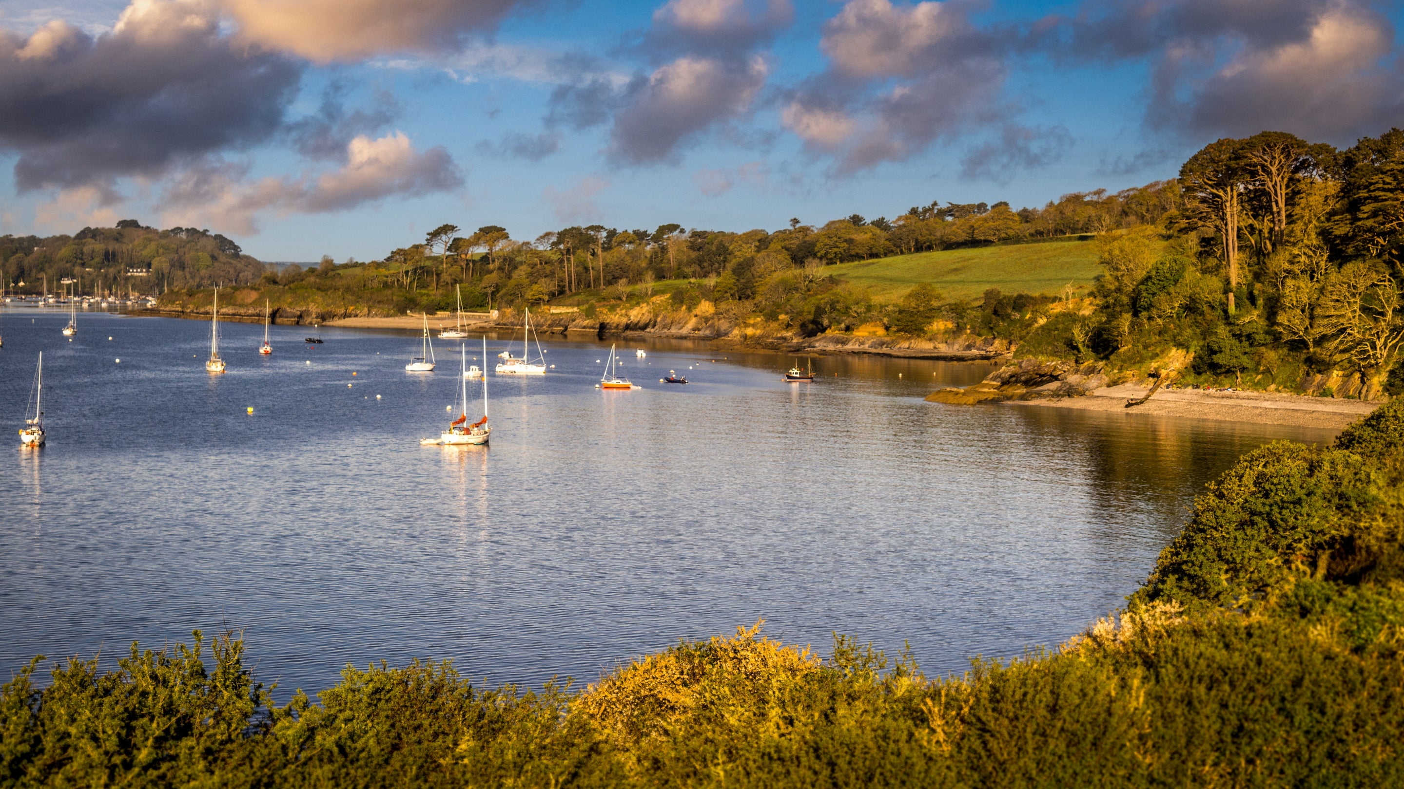 The area surrounding Bosveal, Cornwall