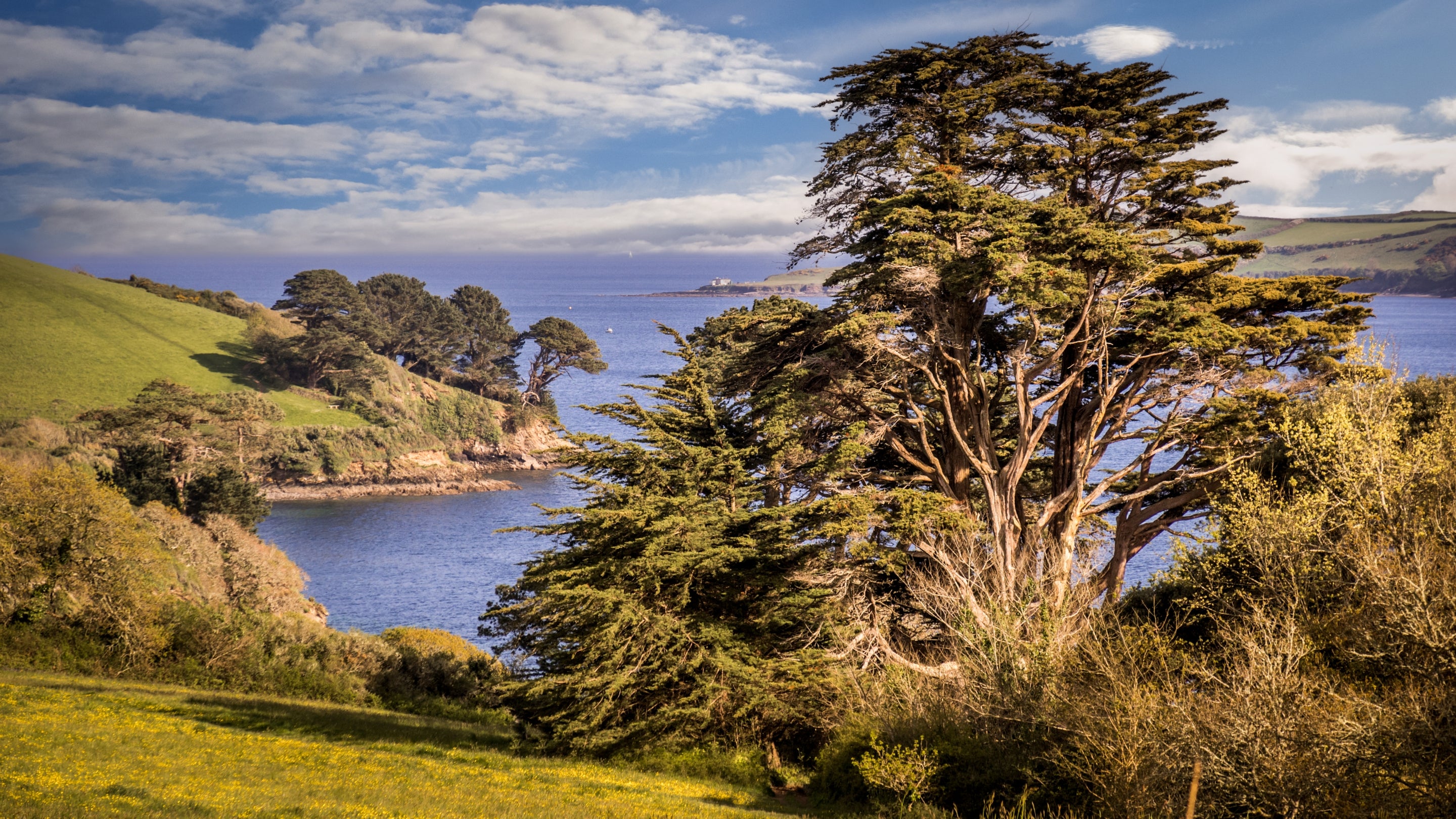 The area surrounding Bosveal, Cornwall