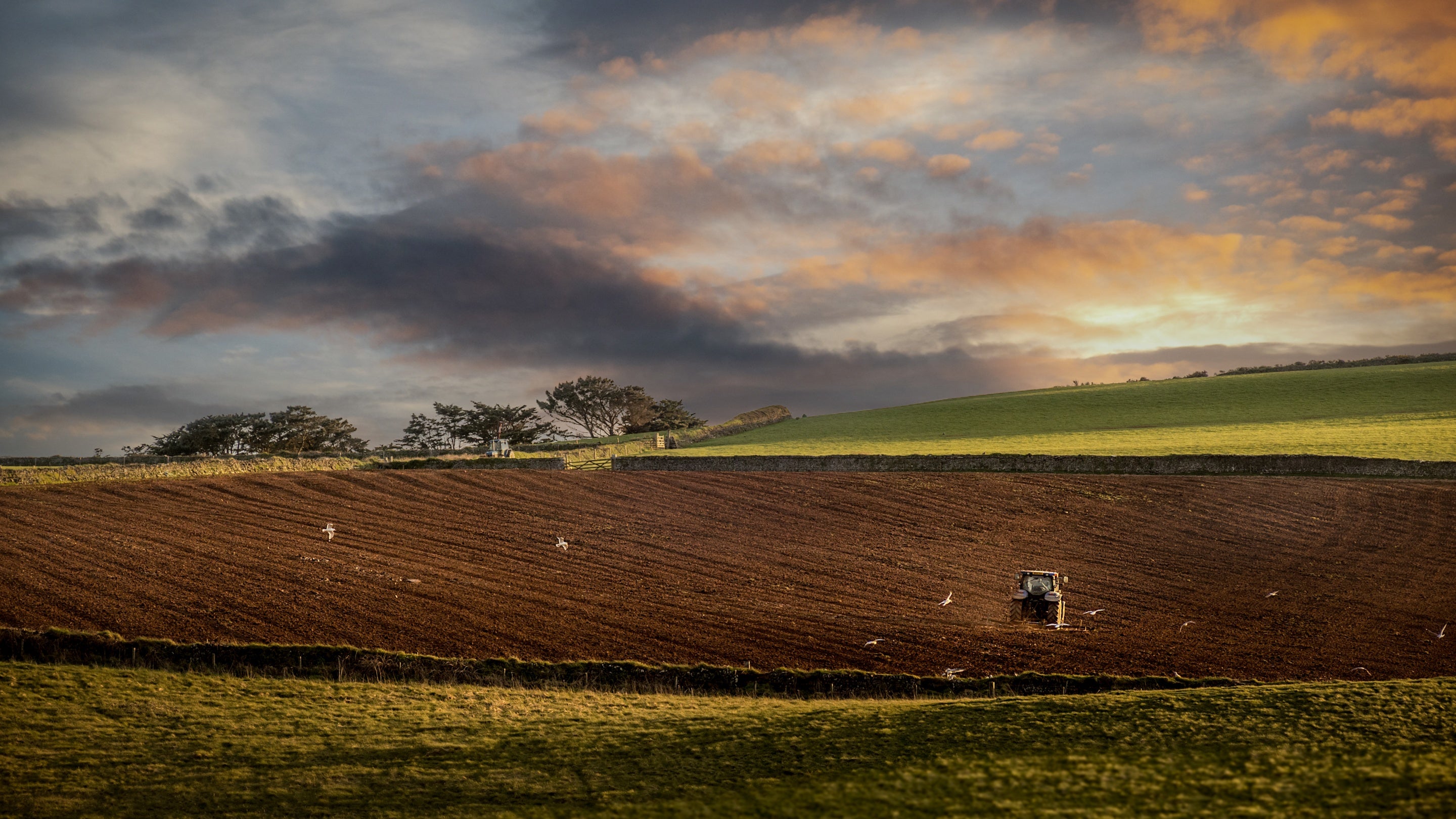 Farmland near the Doyden House holiday apartments, Cornwall