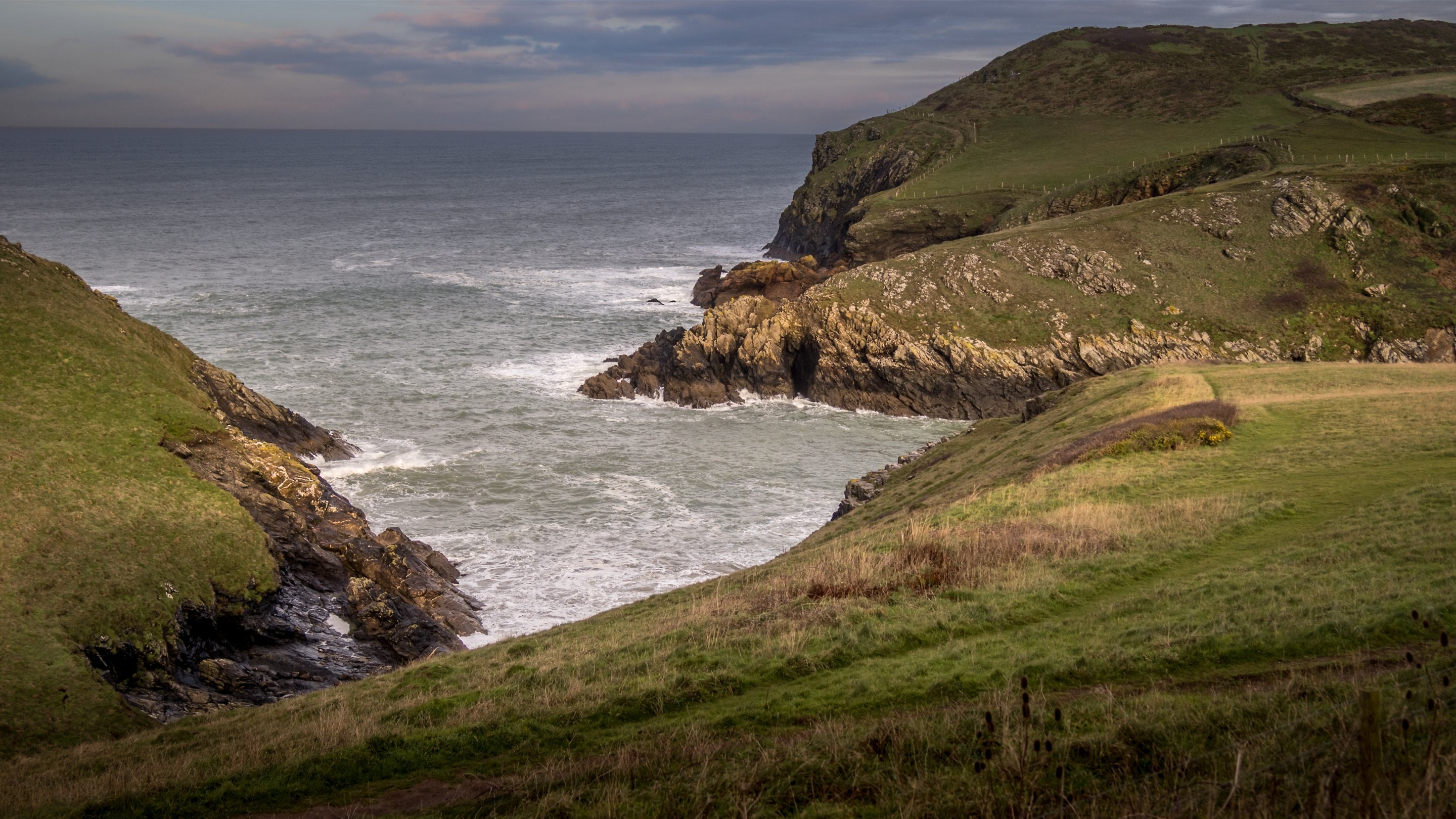 The grassy sea cliffs of the Port Quin headland, near Doyden House holiday apartments, Cornwall