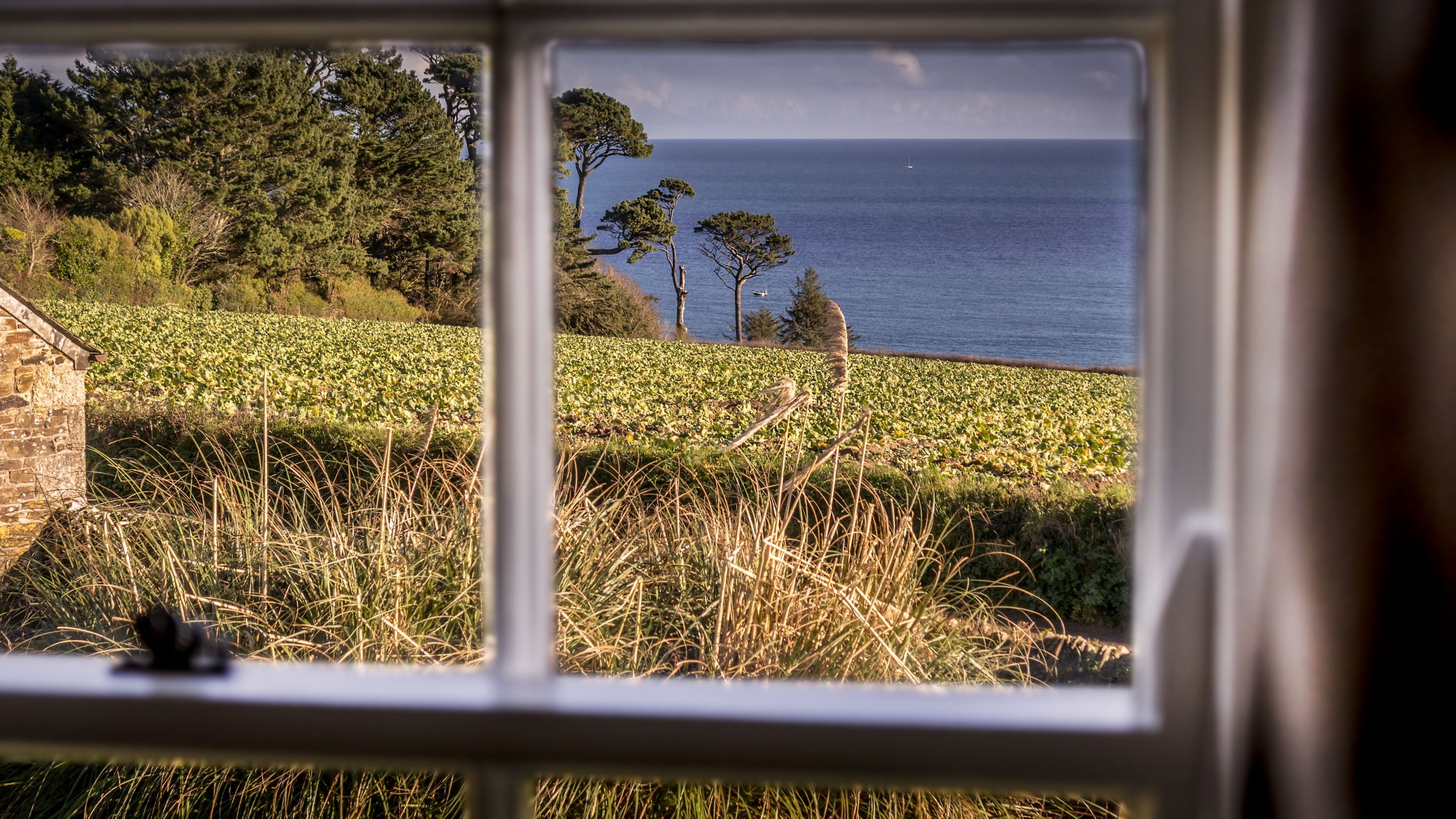 The farmland and sea views from the sitting room window at Chenhalls Barn, Cornwall