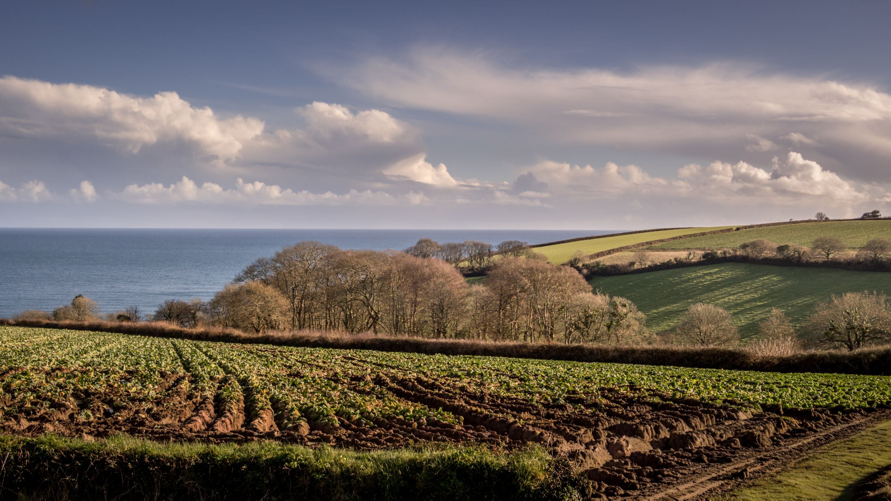 The coastal farmland surrounding Chenhalls Barn, Cornwall