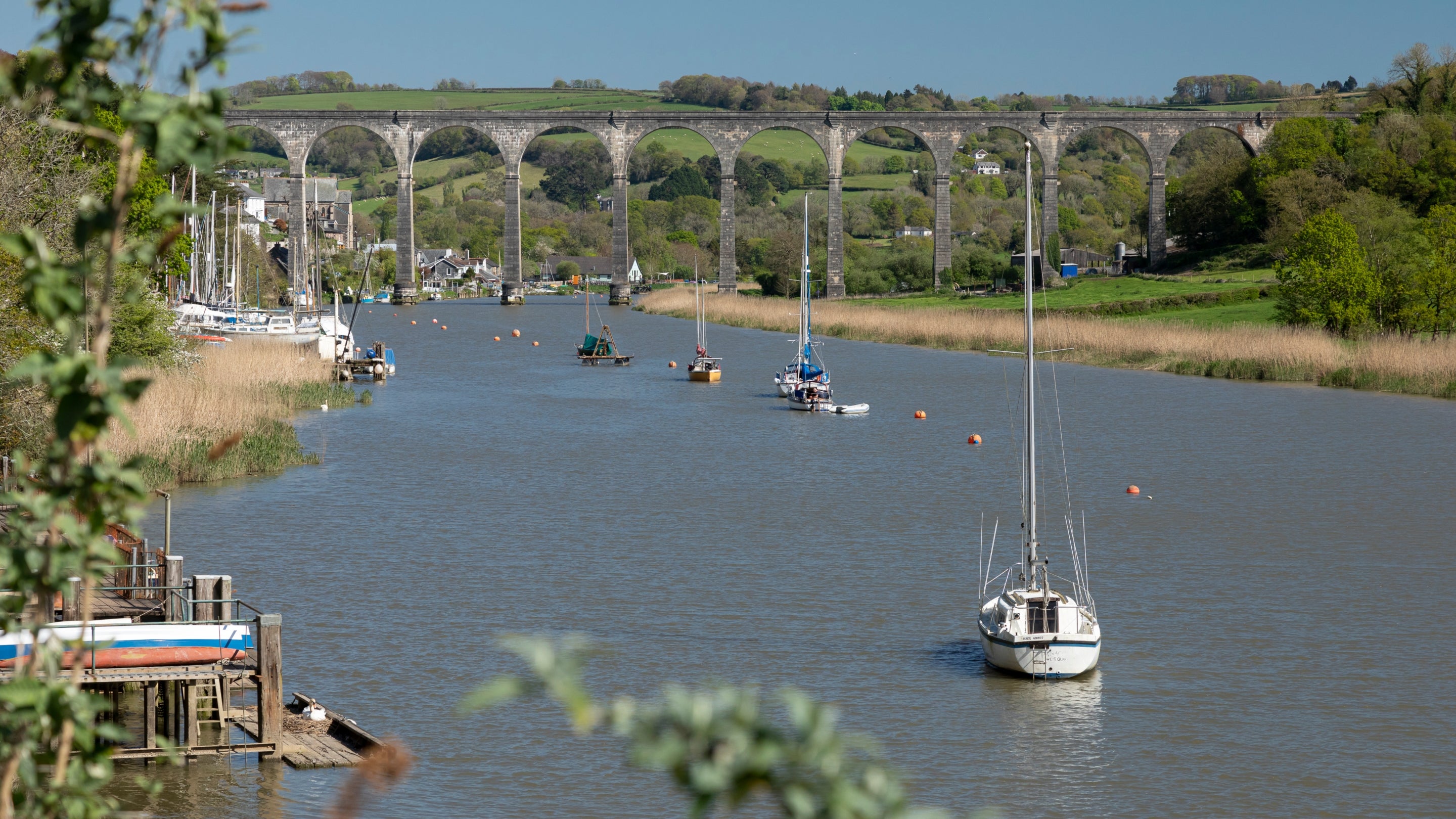 The area surrounding Cotehele Engine Cottage, Calstock, Cornwall