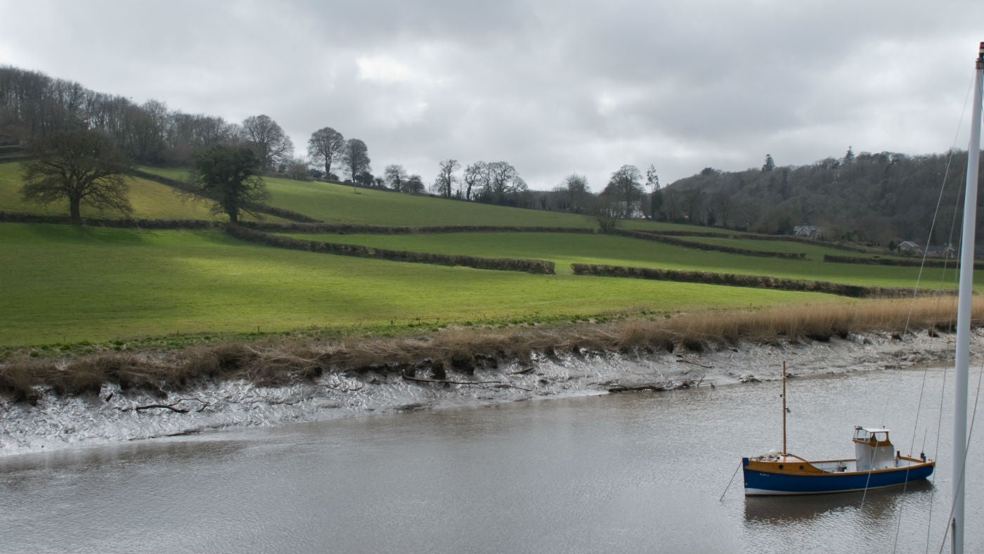 The surrounding area at Engine Cottage, Calstock, Cornwall