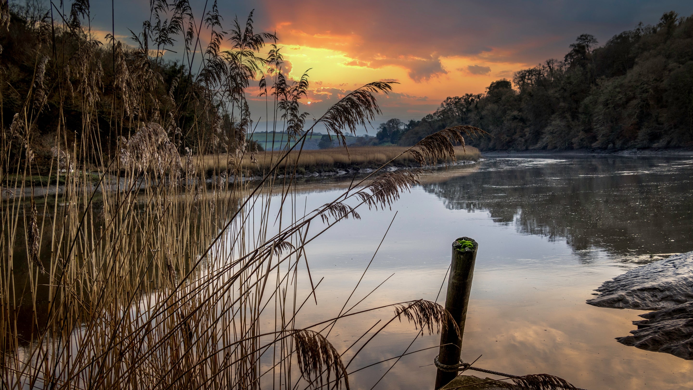 The surrounding area at Cotehele Quay Lodge, Cornwall