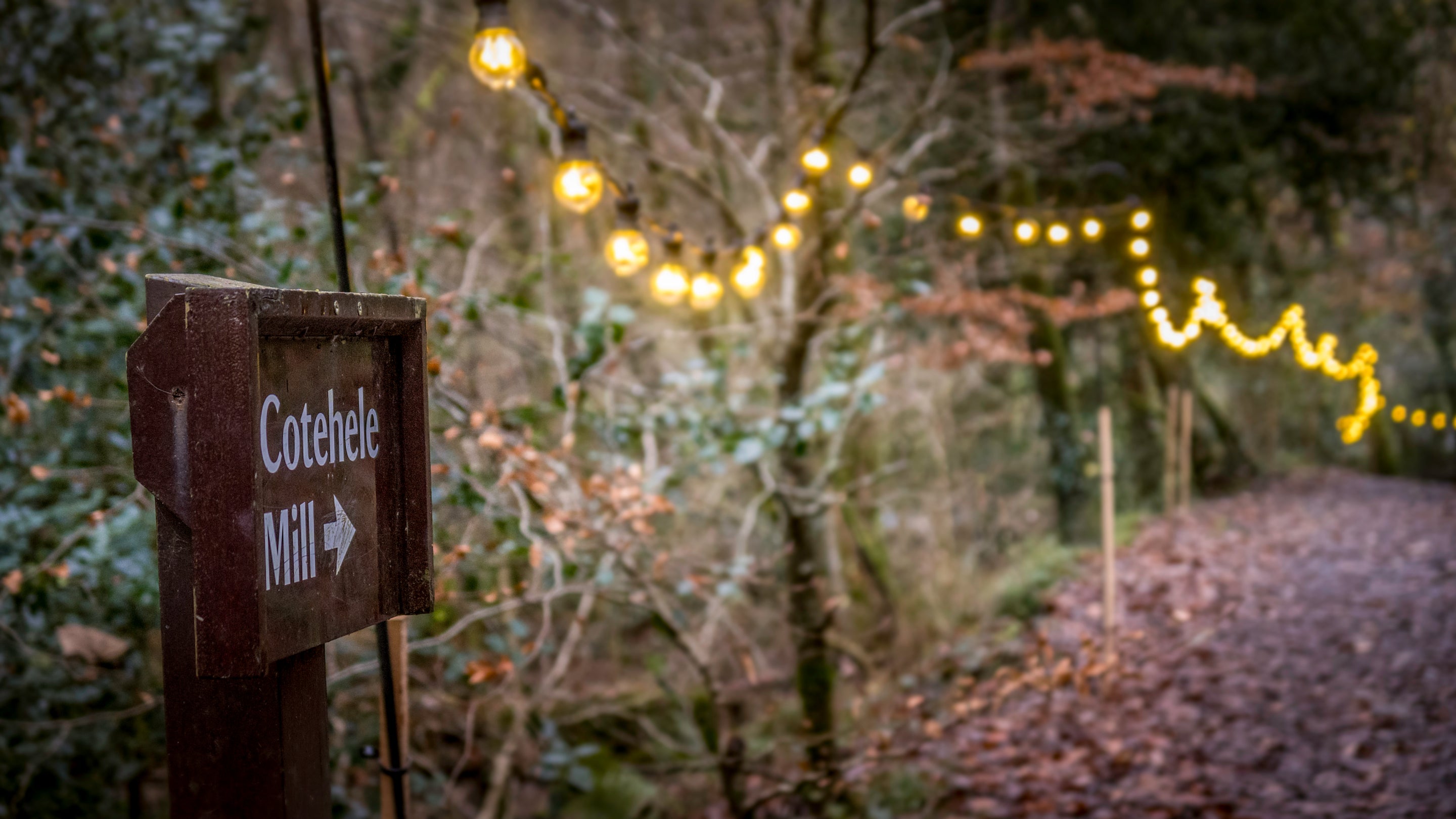 The walk to Cotehele Mill close to Cotehele Quay Lodge Cottage, Cornwall