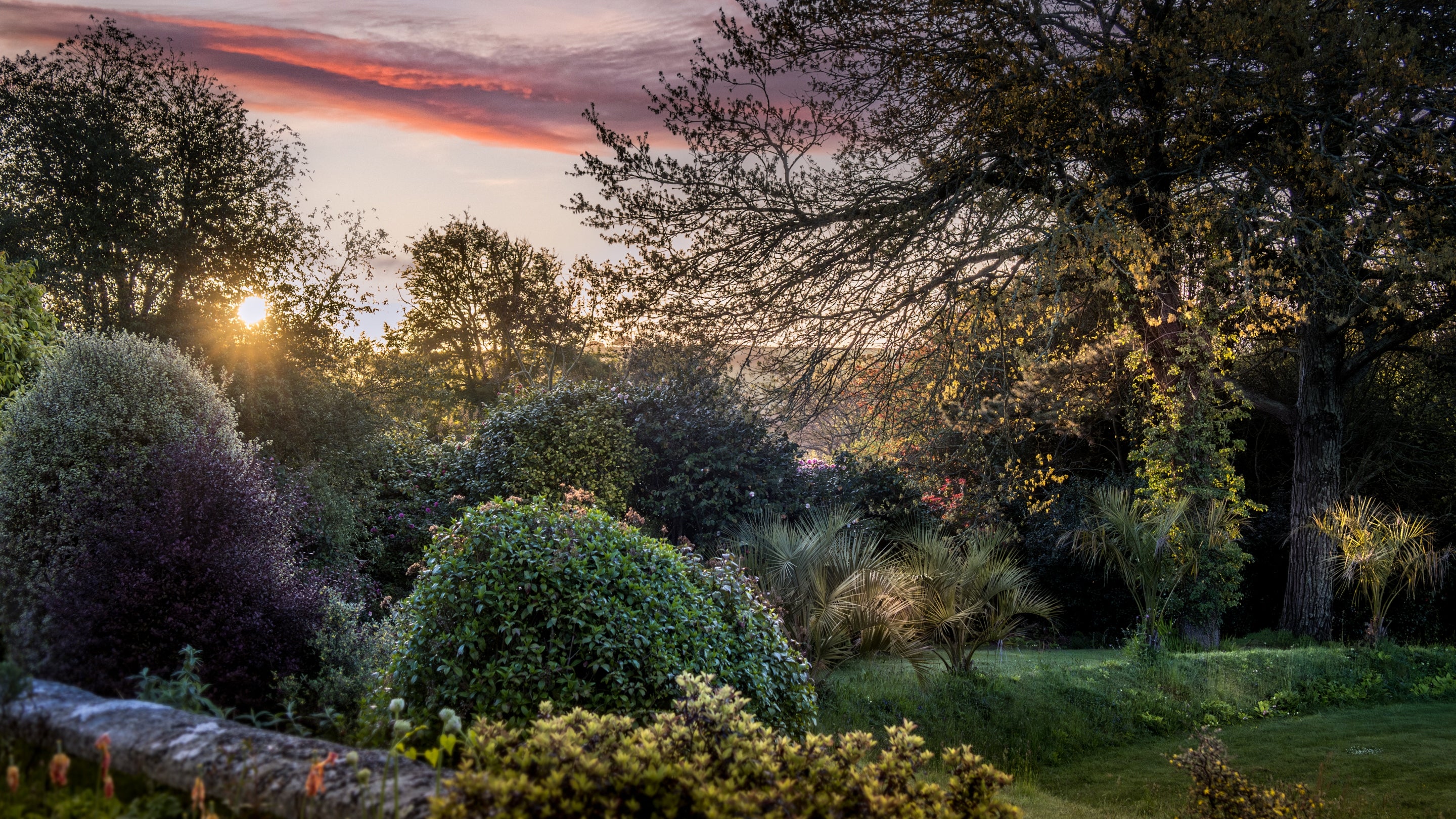 The area surrounding Court, Cornwall