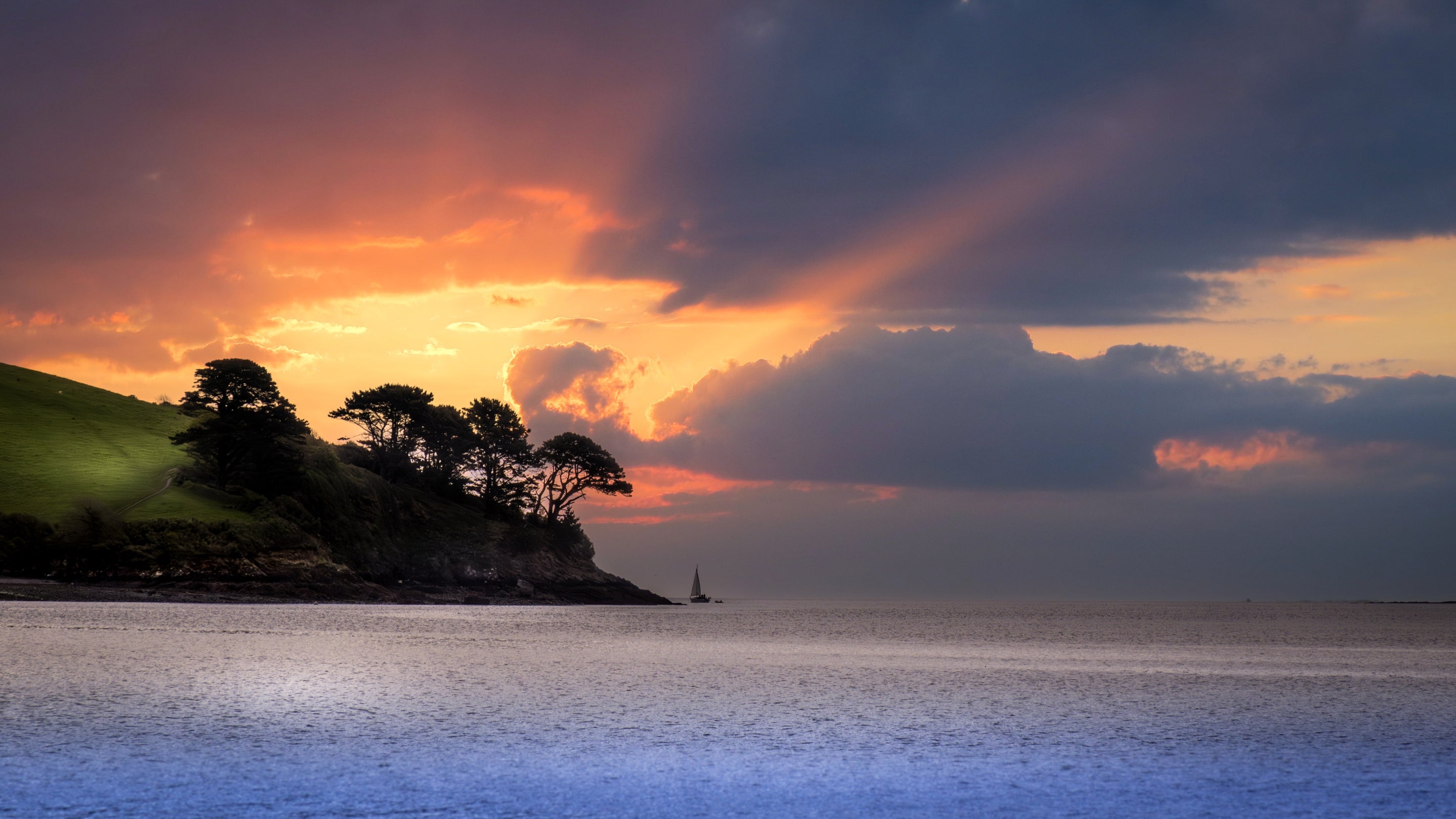 The area surrounding Court, Cornwall