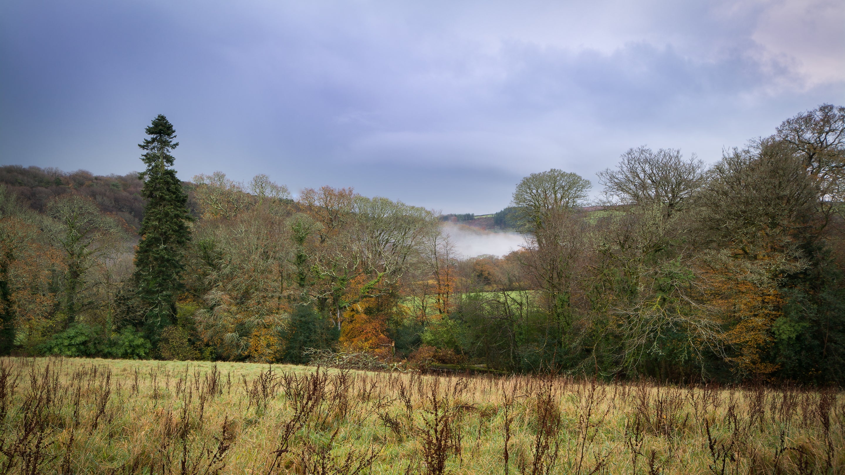 The surrounding area of Cutmadoc, Cornwall