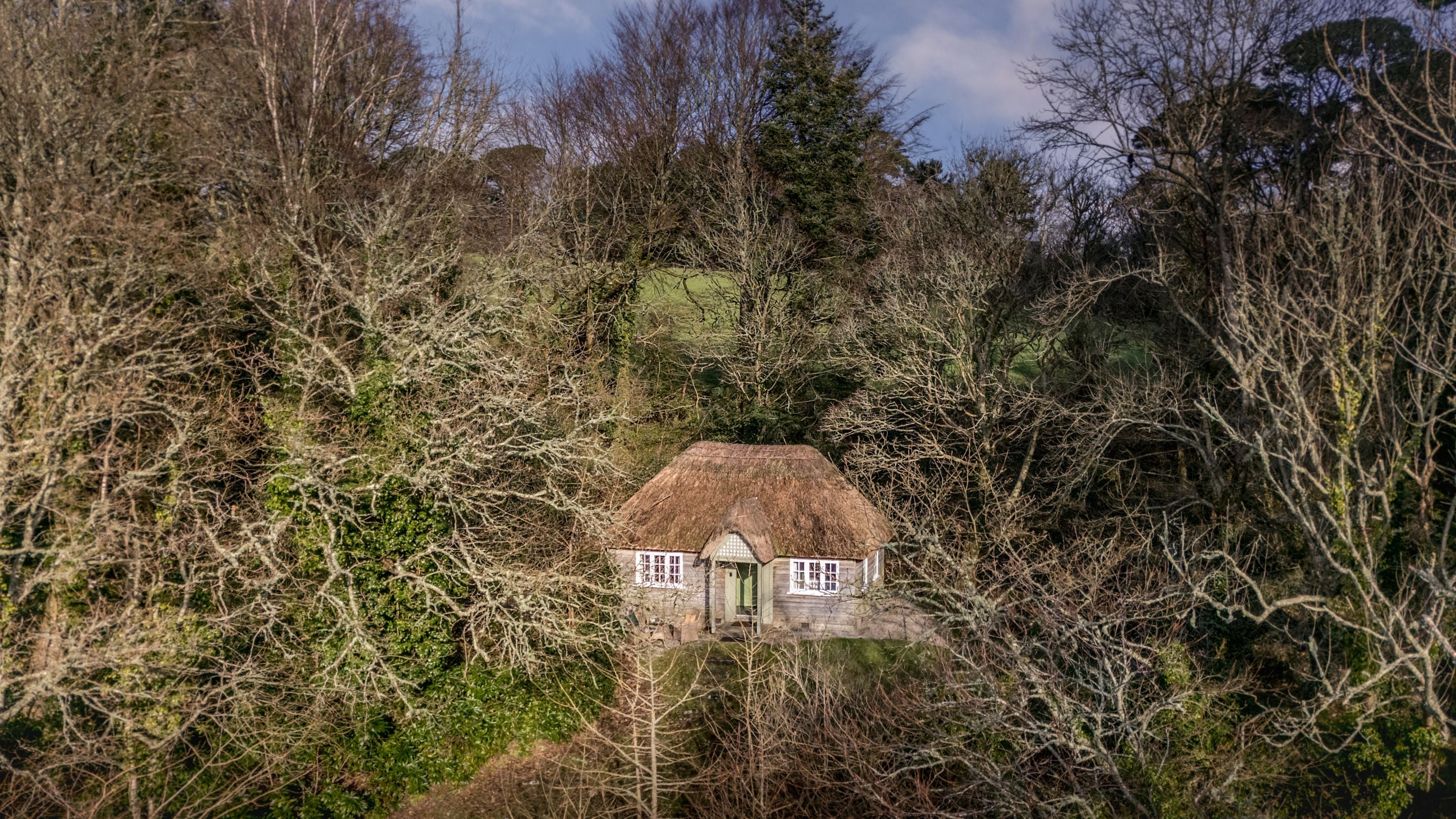 An aerial view of Durgan Wood Cottage, a small timber-built thatched cabin surrounded by trees, Cornwall
