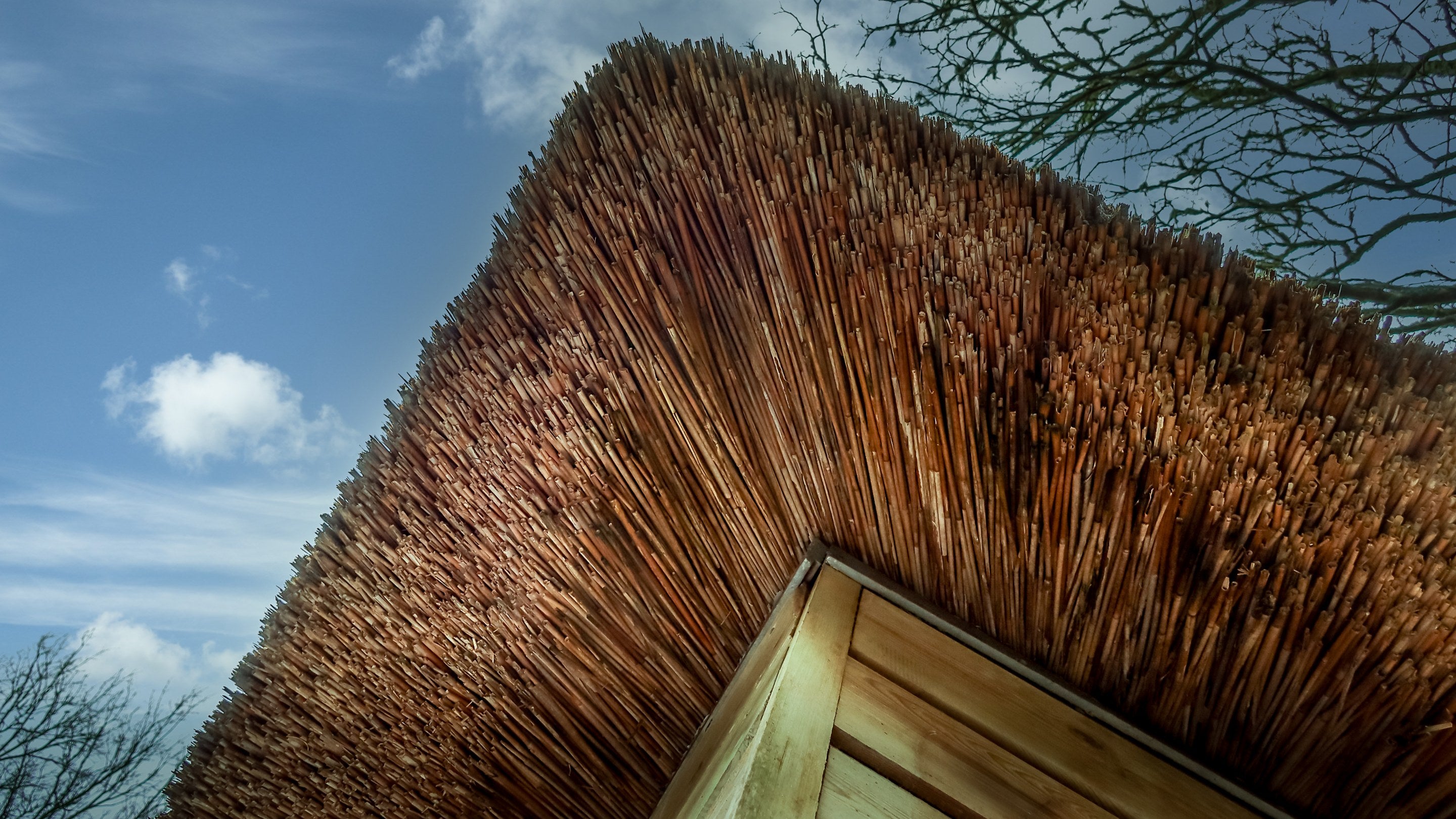 Looking up at the underside of the overhang of the thatched roof at Durgan Wood Cottage, Cornwall