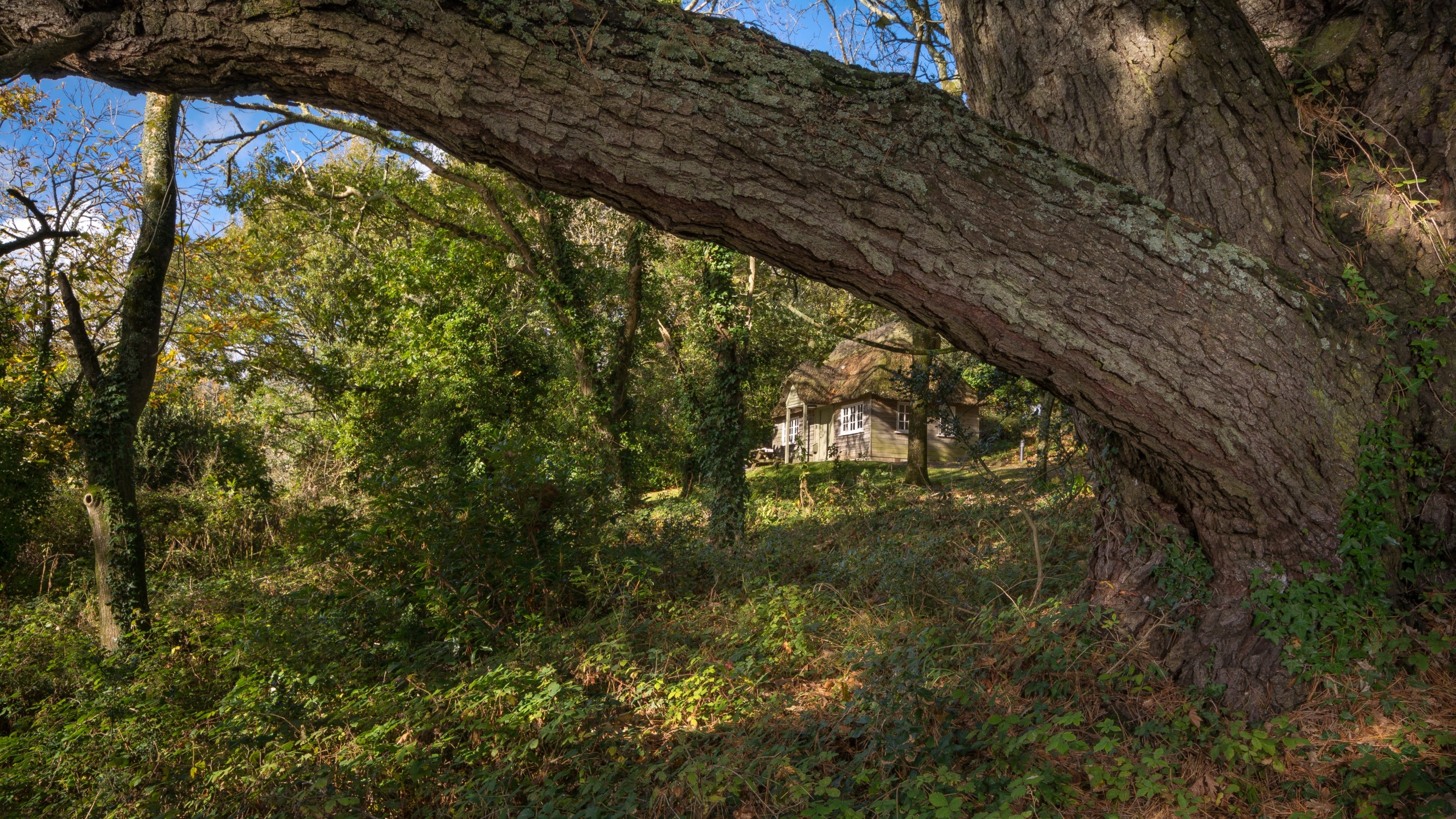 The exterior of Durgan Wood Cottage, Cornwall