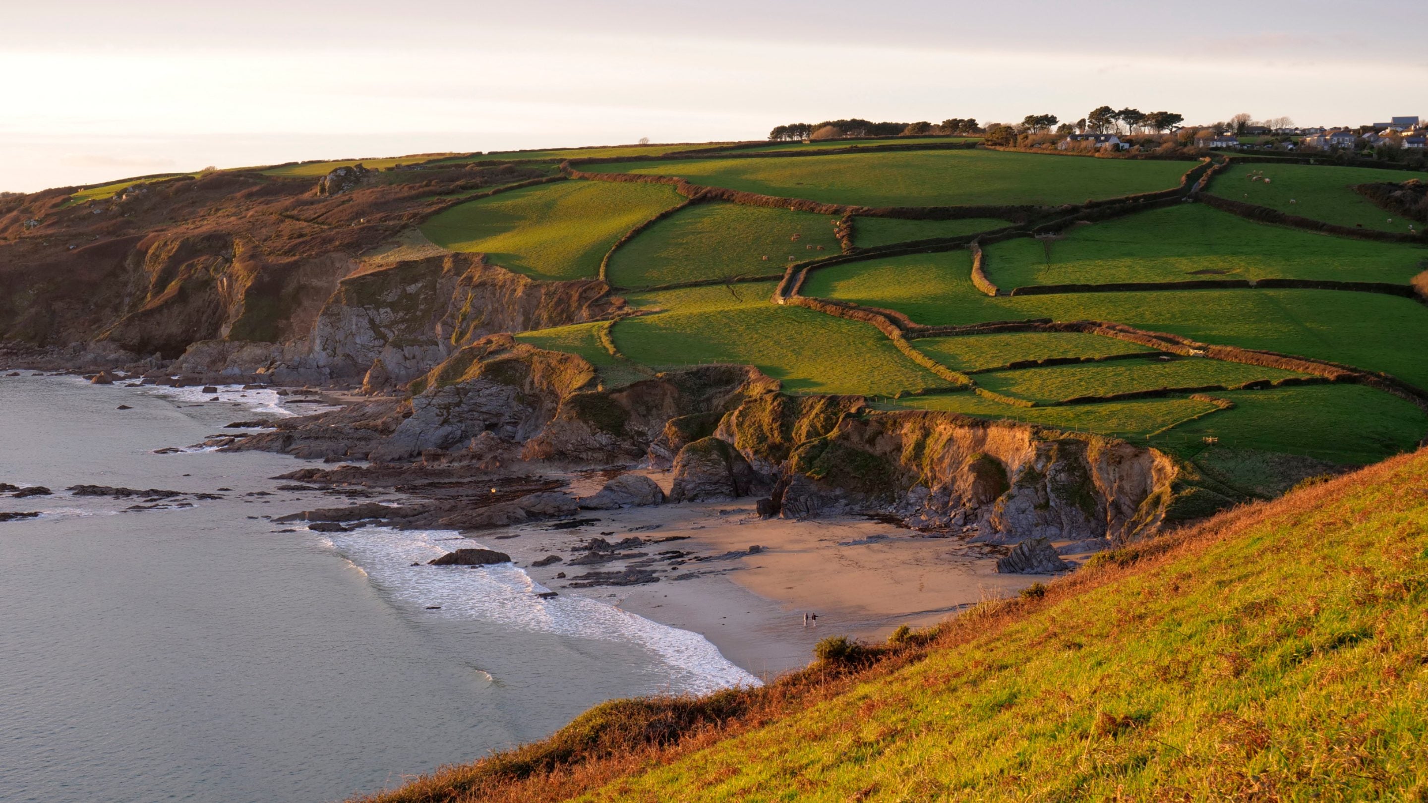 The sandy Hemmick Beach and surrounding hills,  bathed in warm evening light, Cornwall