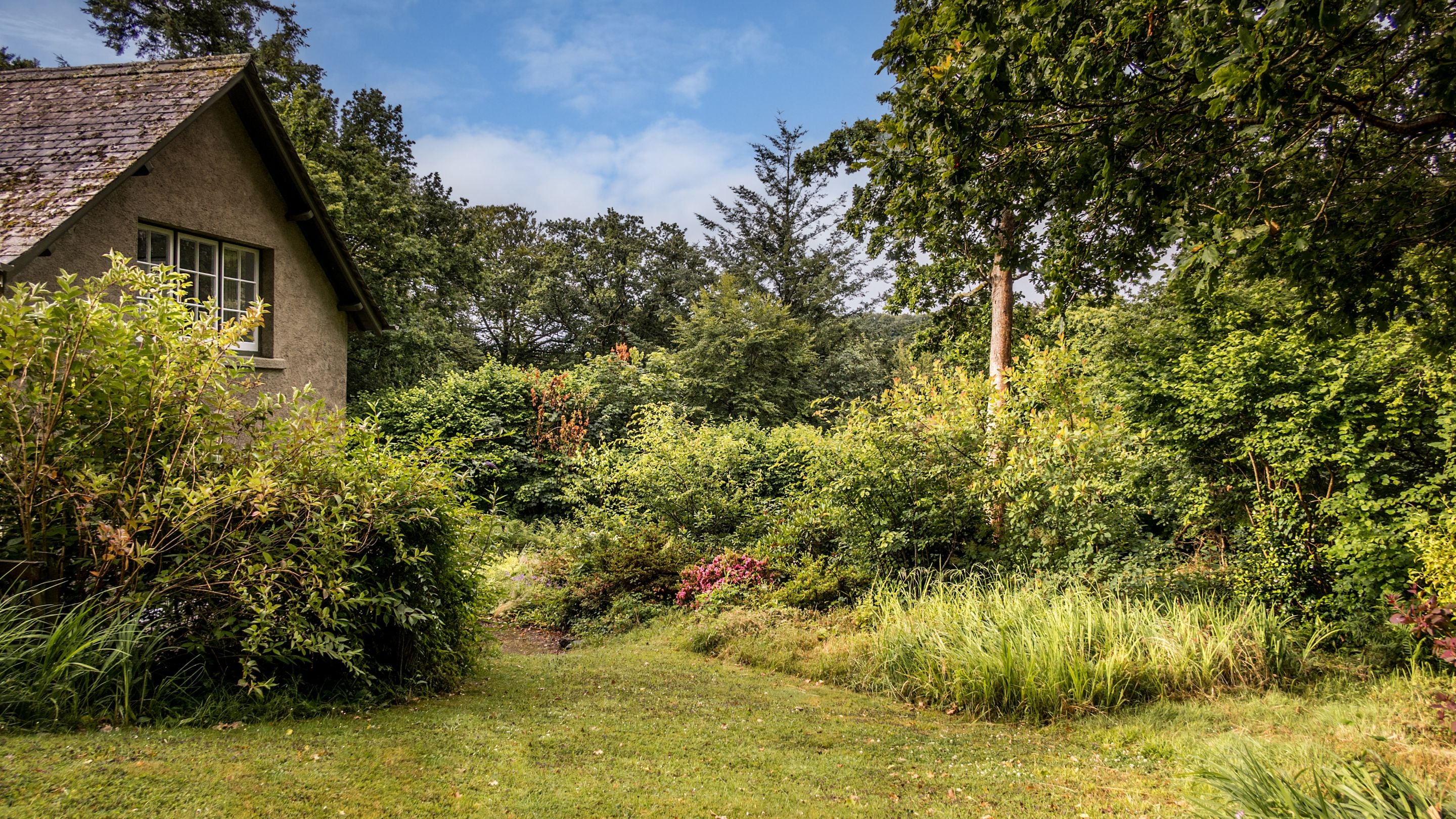 The rear garden, with lawn, shrubs and trees, at Elbow Cottage, Cornwall