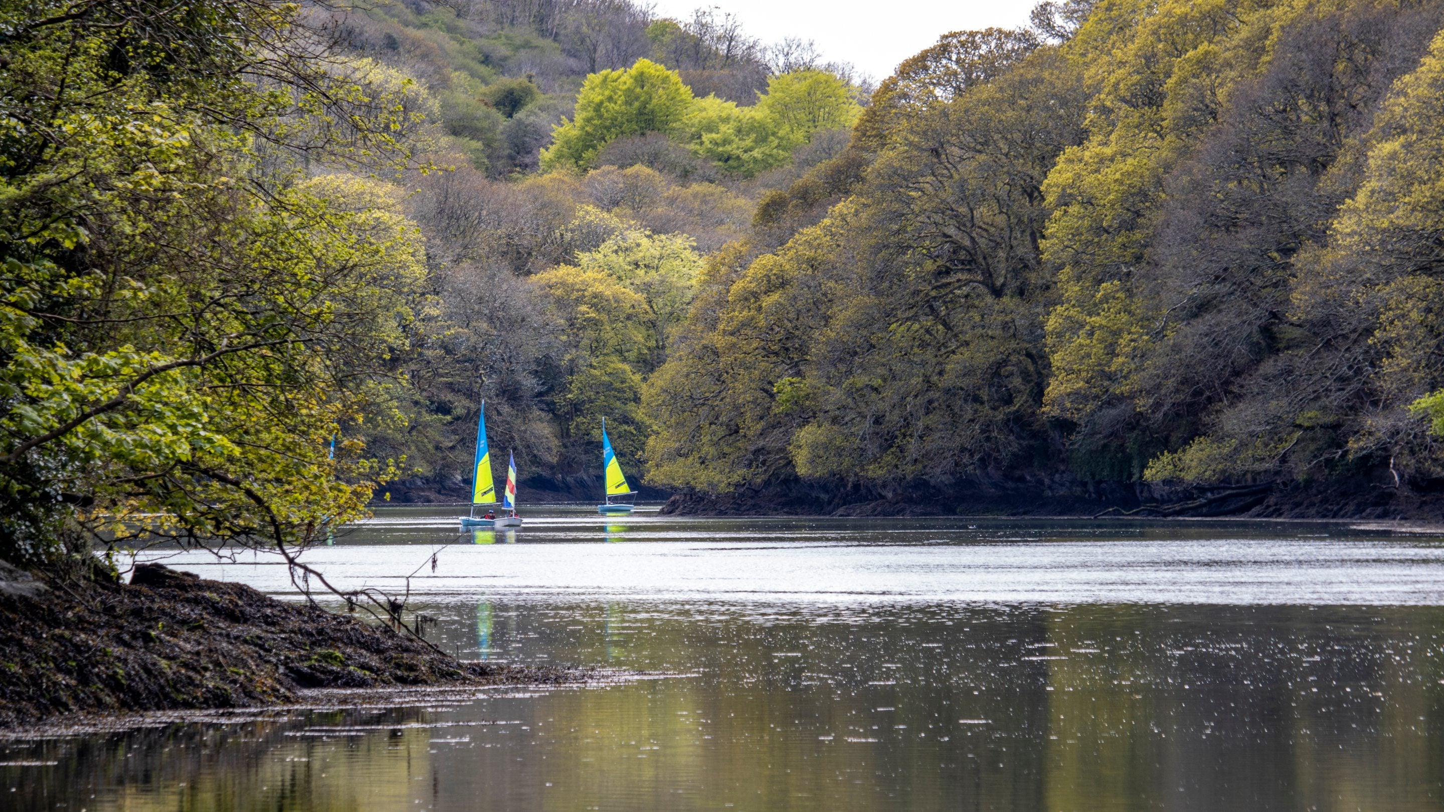 Sailing boats on the estuary at Pont Pill, Fowey, Cornwall