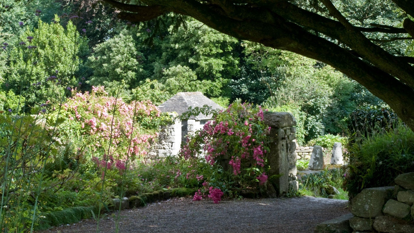 The garden at Godolphin House, Cornwall