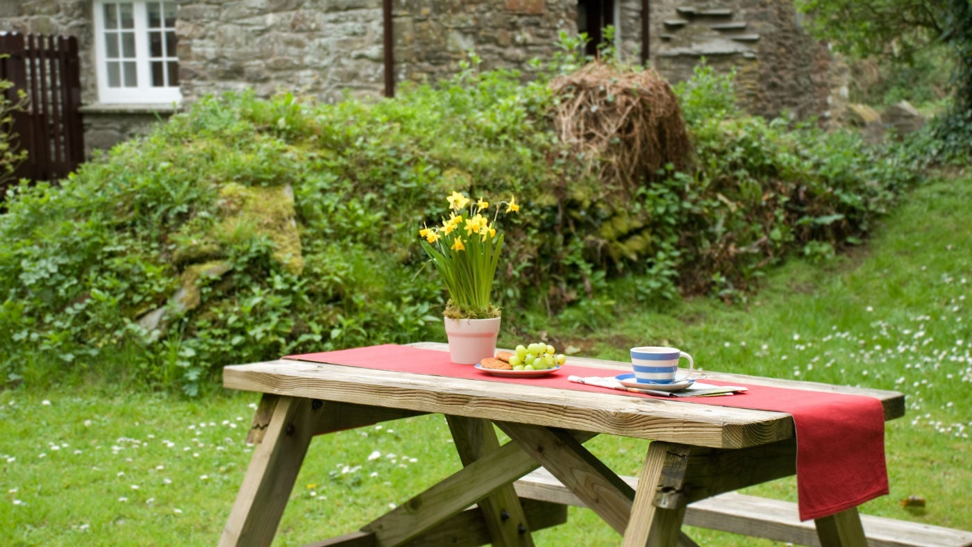 The back garden at Granny's, Gorran, Cornwall