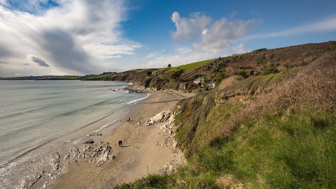 The surrounding area at Gwendra Wartha, Roseland, Cornwall