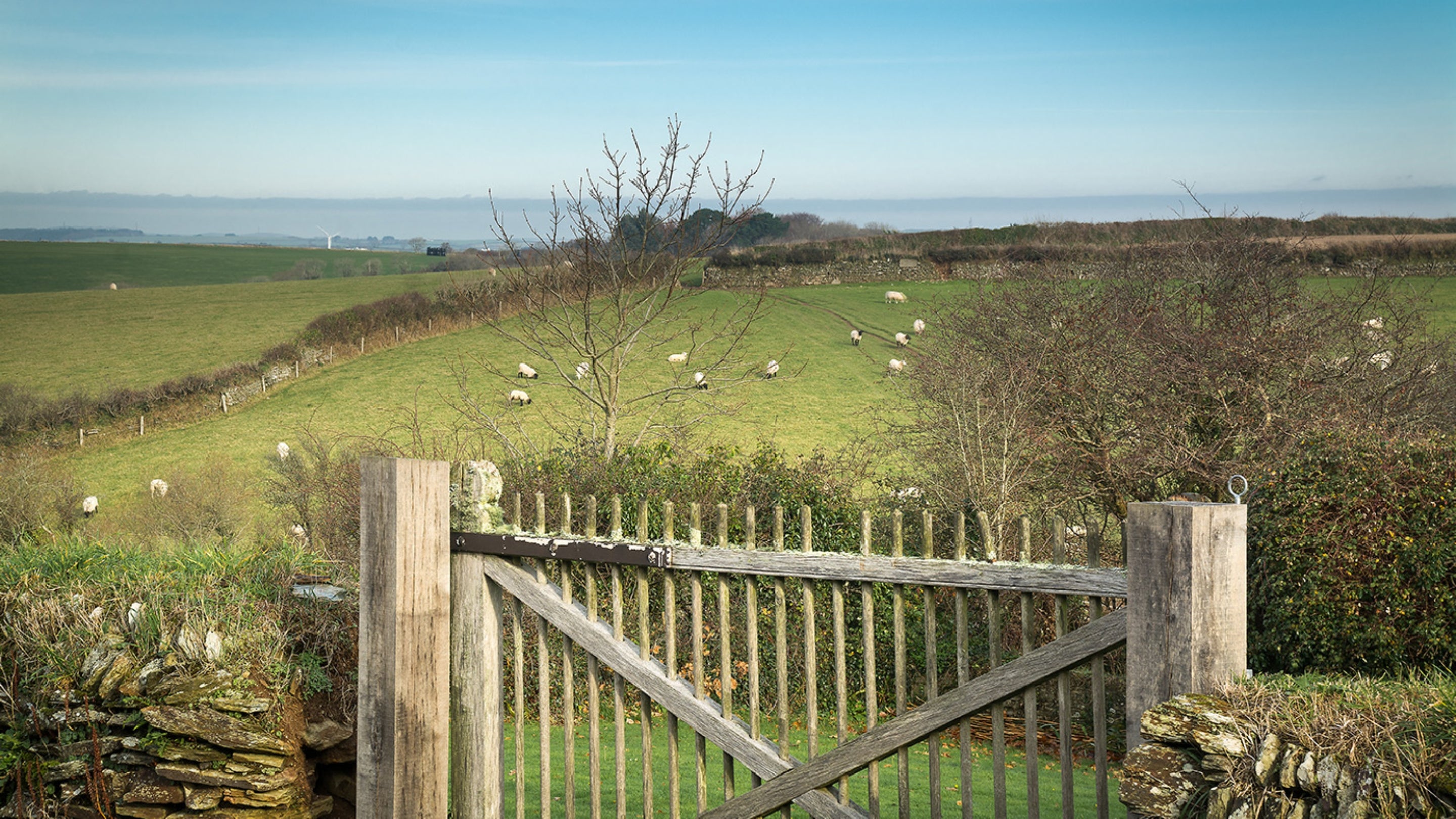 The surrounding area of Hayrick, Cornwall.
