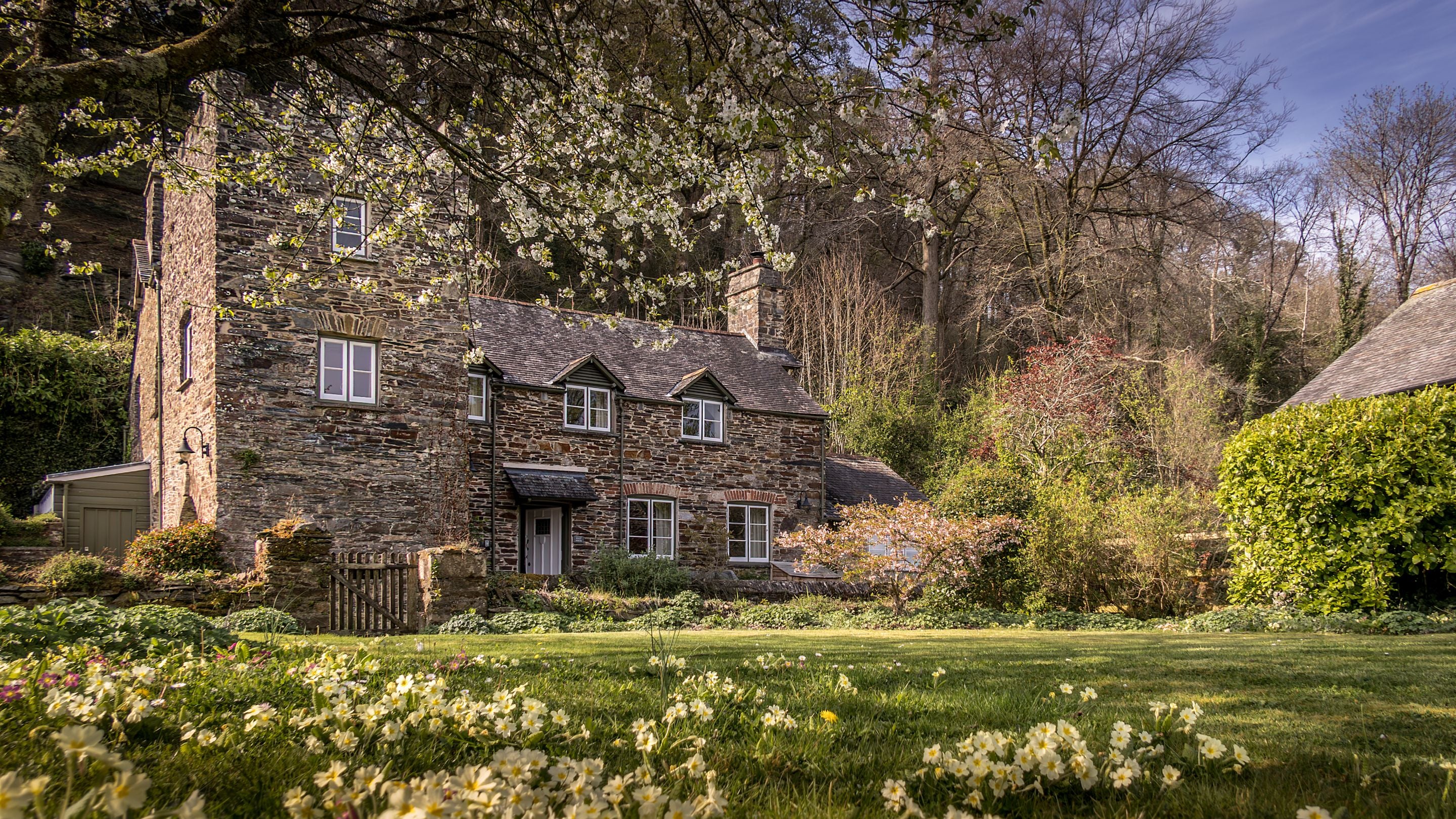 The exterior of Malt House in spring, with blossom on the trees and flowers blooming in the grass of the garden, Cornwall