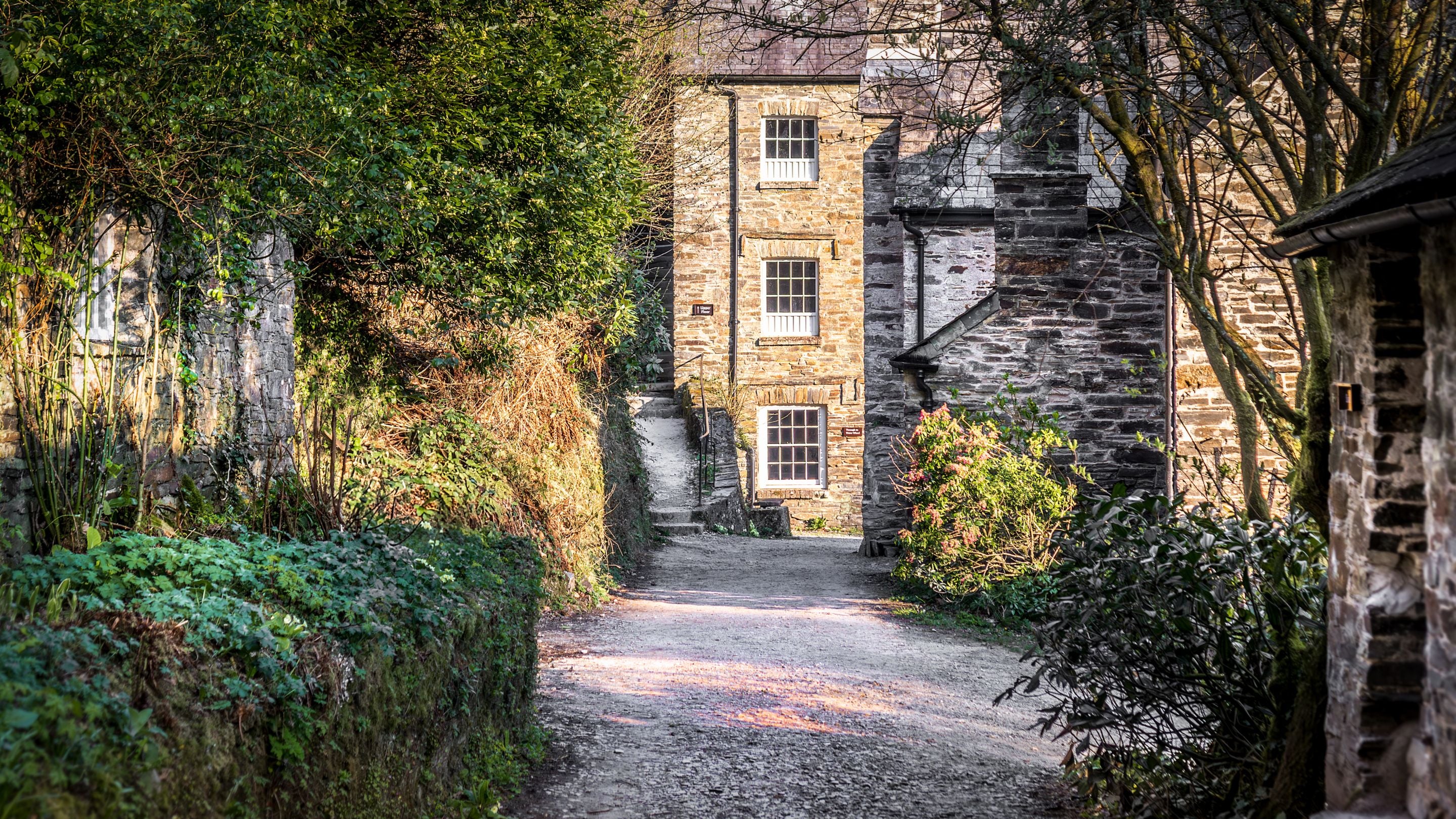 The lane to Miller's House and Cotehele Mill, Cornwall