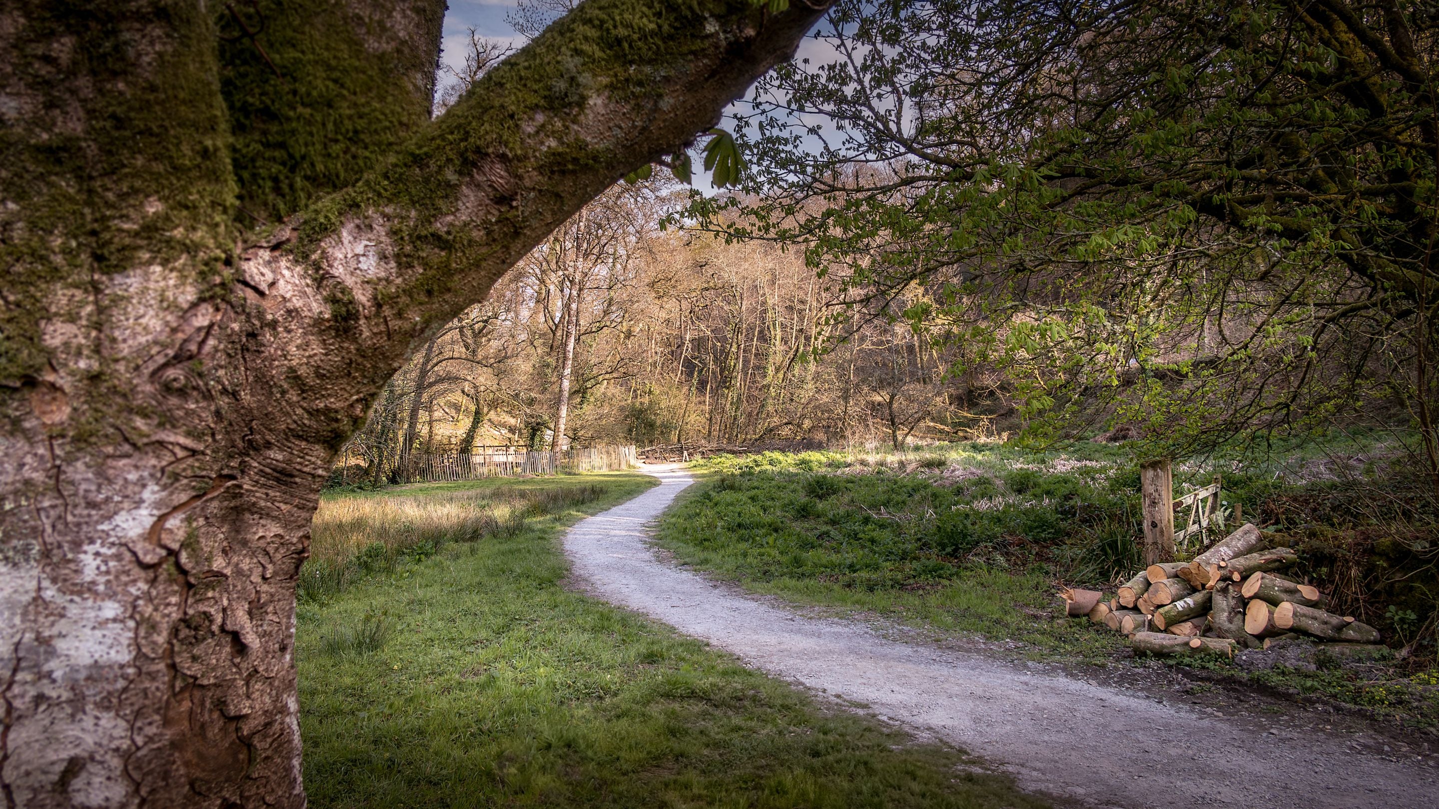The walking trail through the meadow behind Miller's House, Cornwall