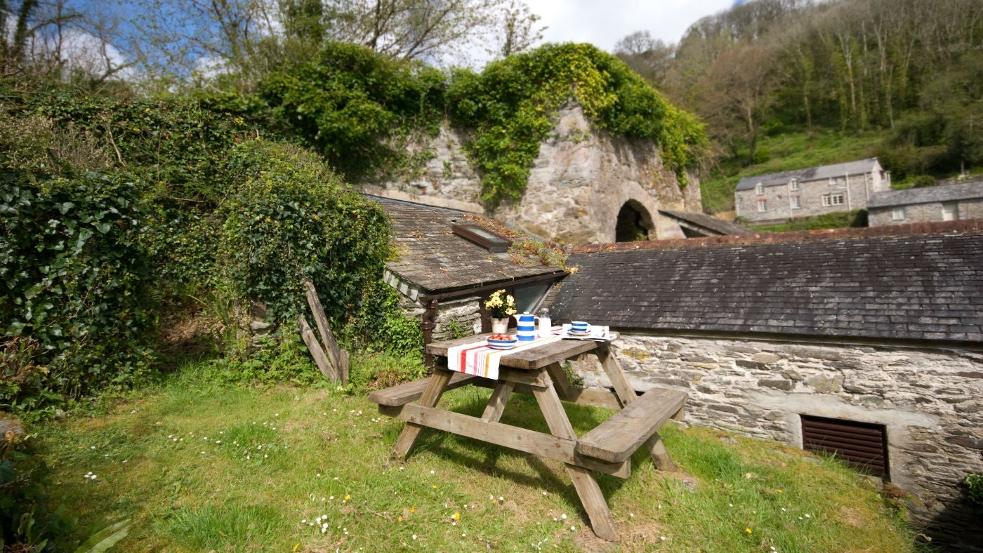 The garden at Mohun, Pont Pill, Cornwall