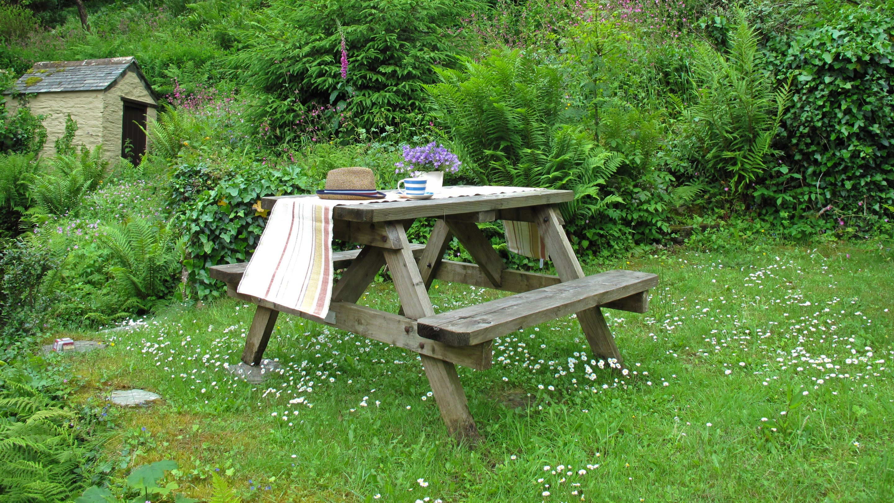 The garden at Mohun, Cornwall