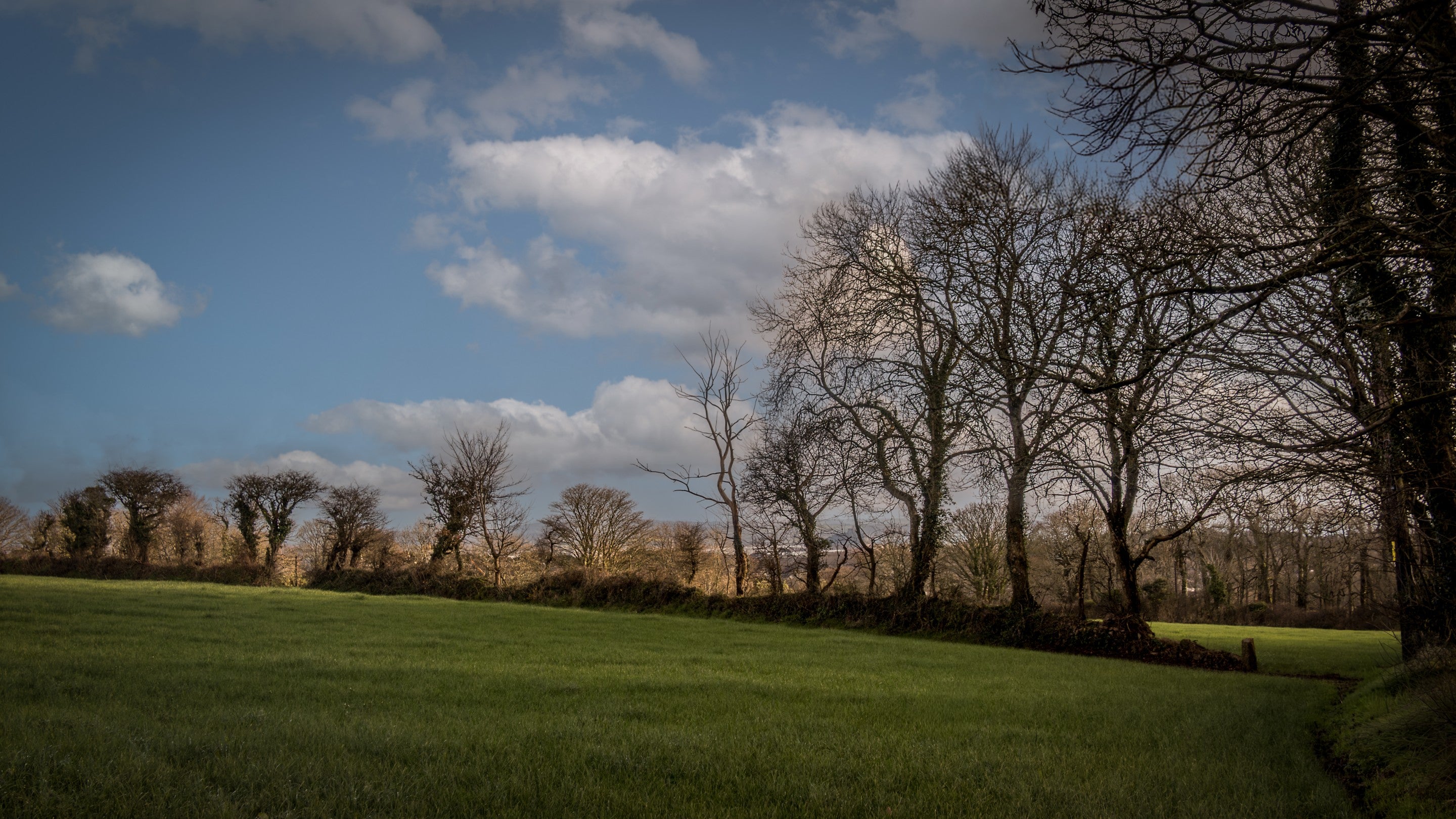 The countryside around Nanceglos House and the Trengwainton estate, Cornwall