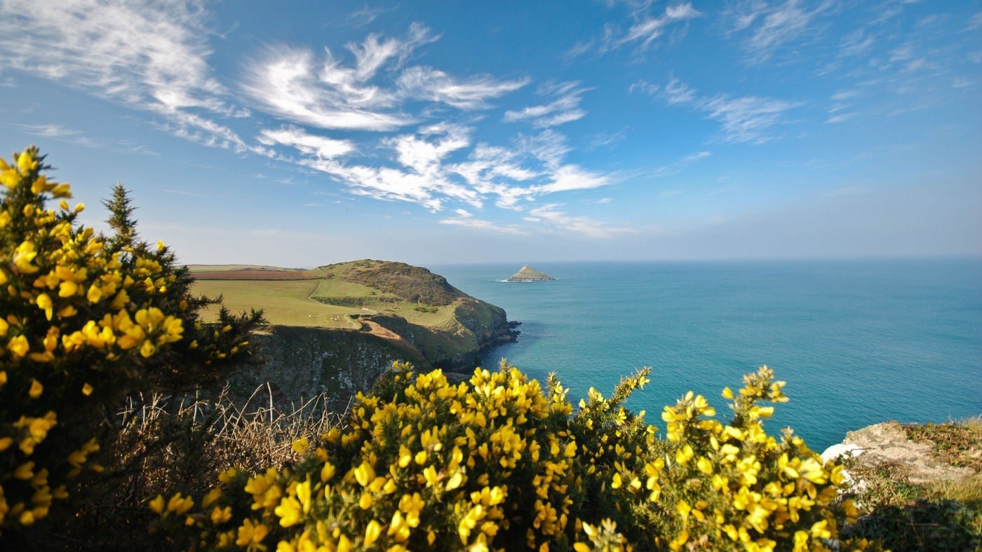 A view of the local area near The Old Farmhouse, Polzeath, Cornwall 