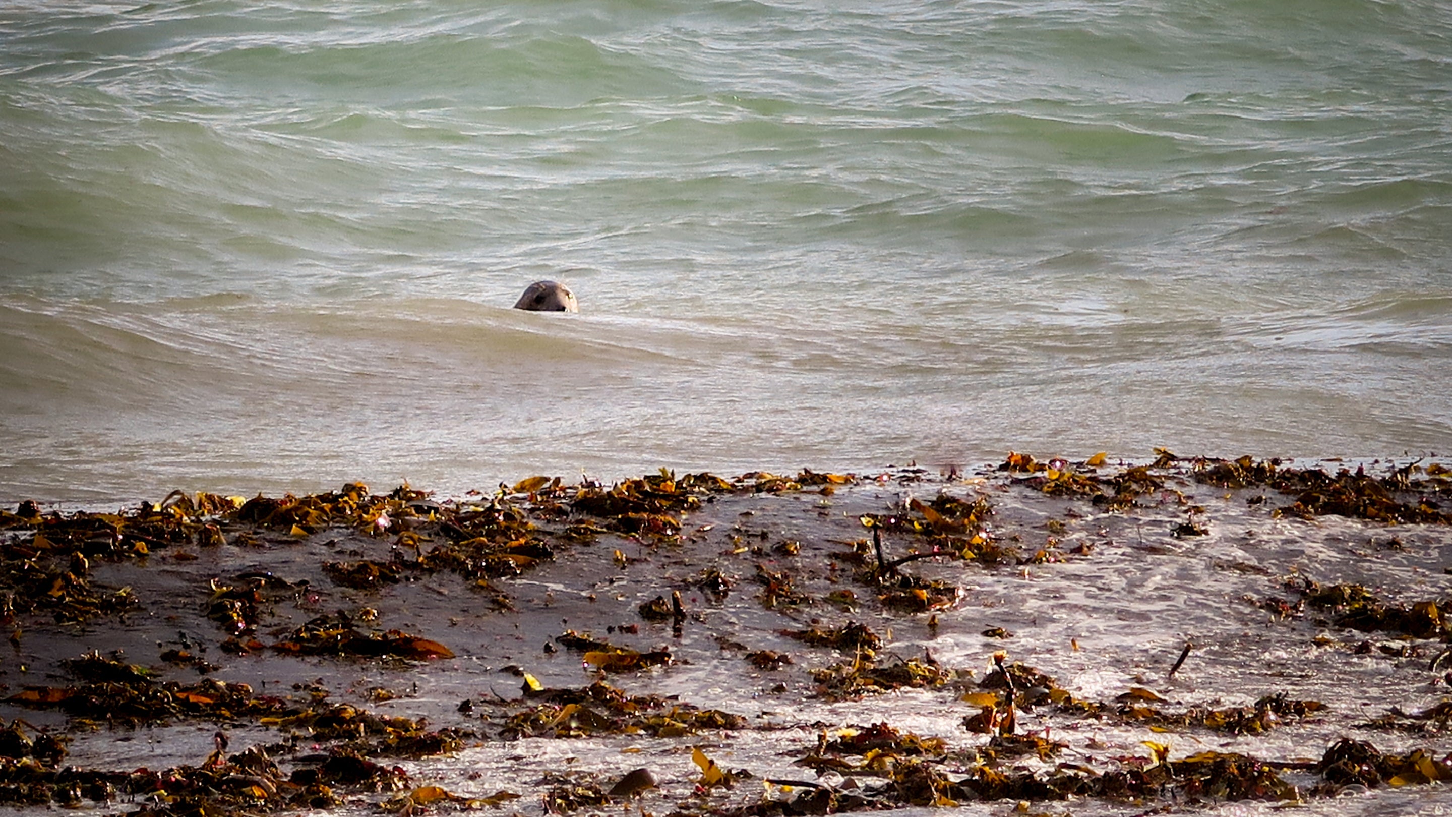 The surrounding area at Penhaligons, Cornwall